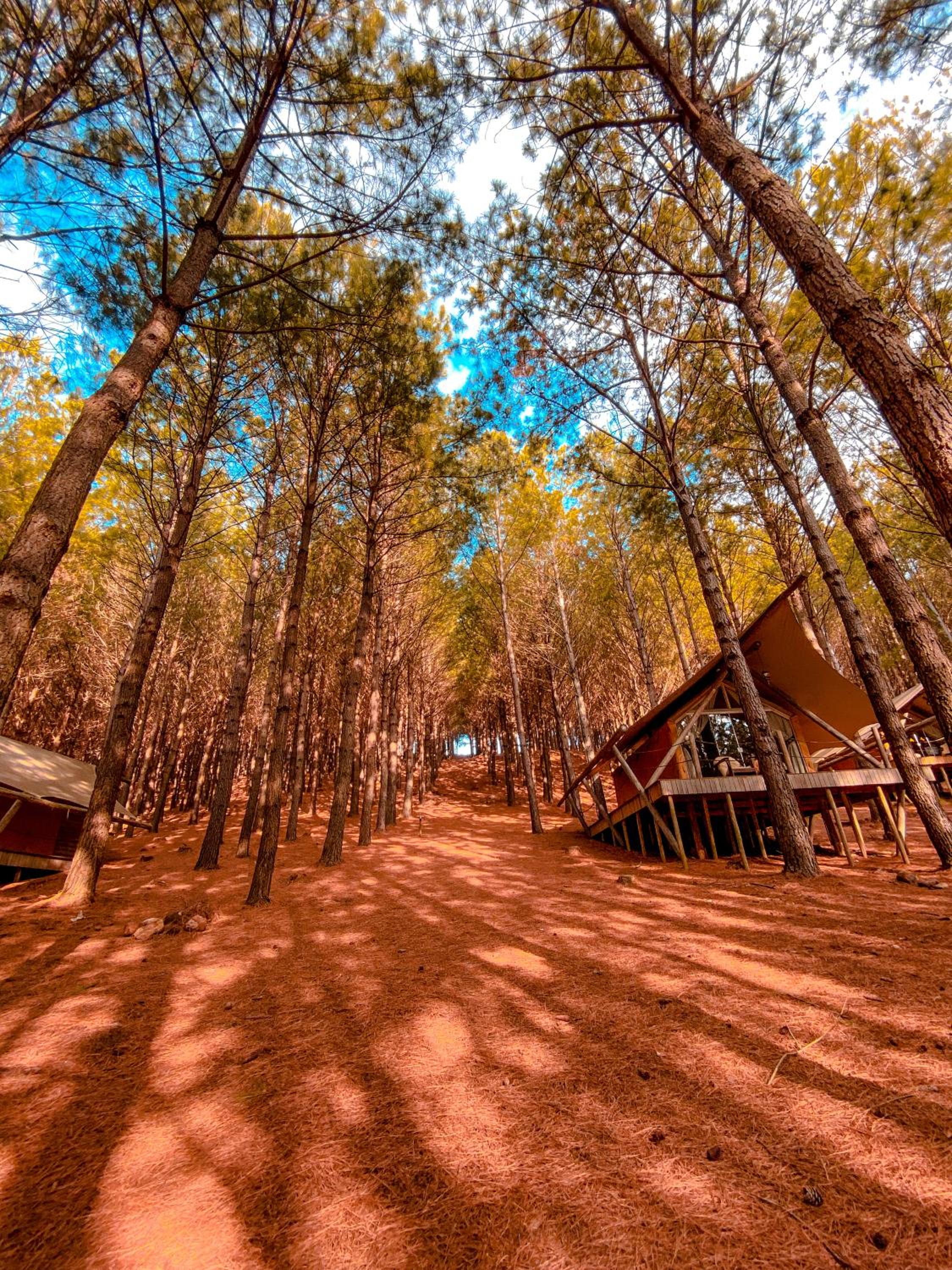 Tedesco Eco Park