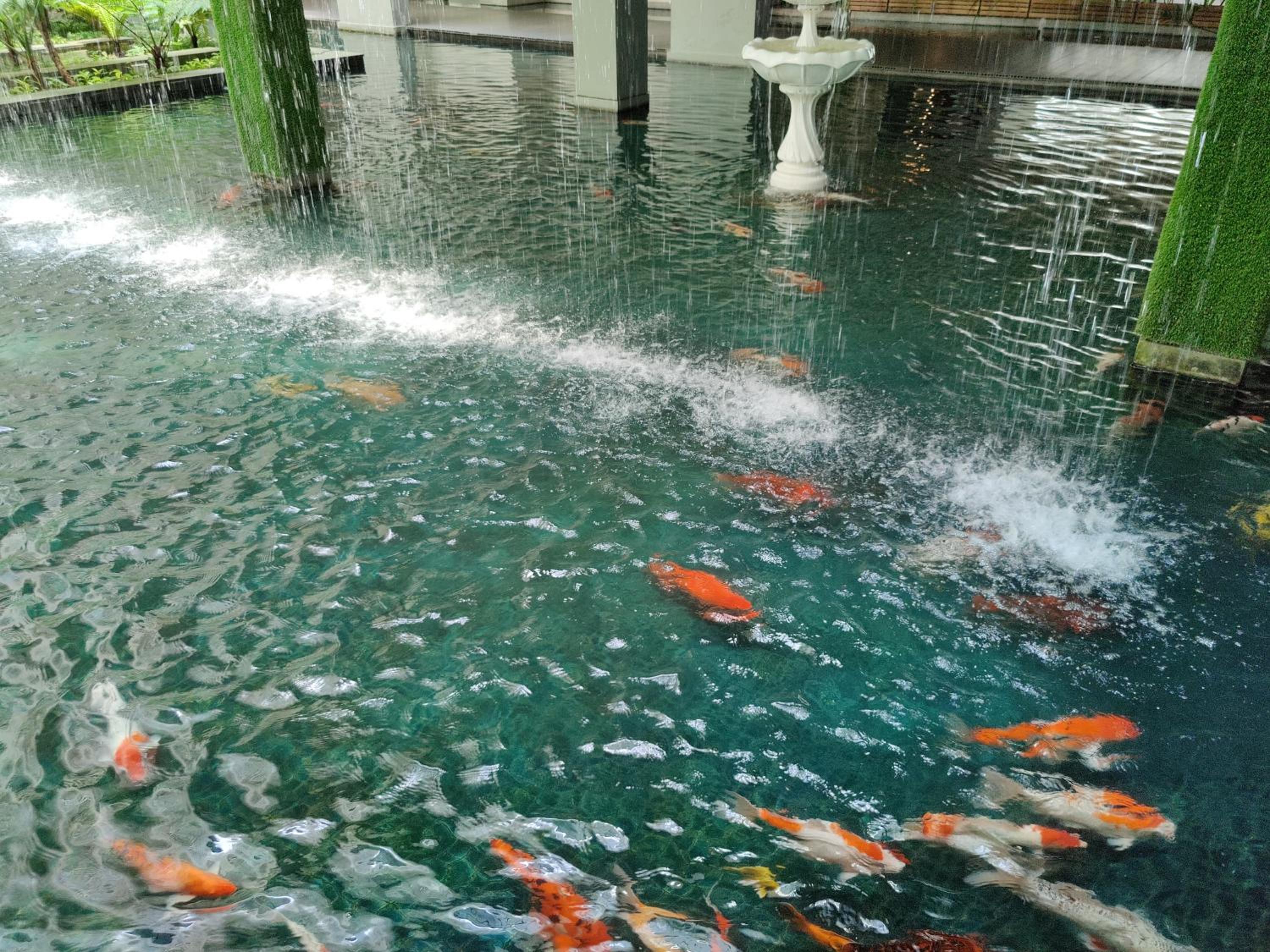 StarsBed KLCC Skyview Roof Pool Hostel
