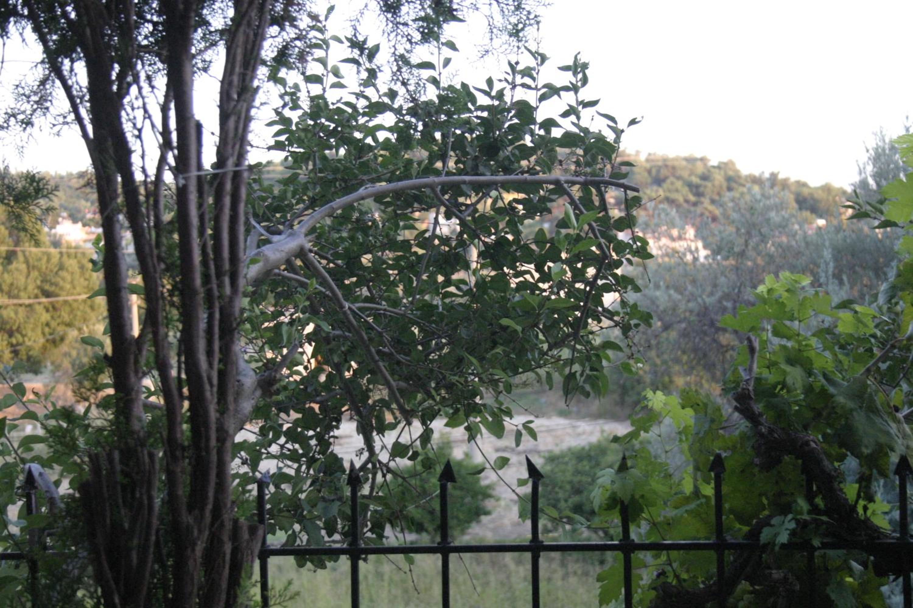 Otel Yorgo Seferis