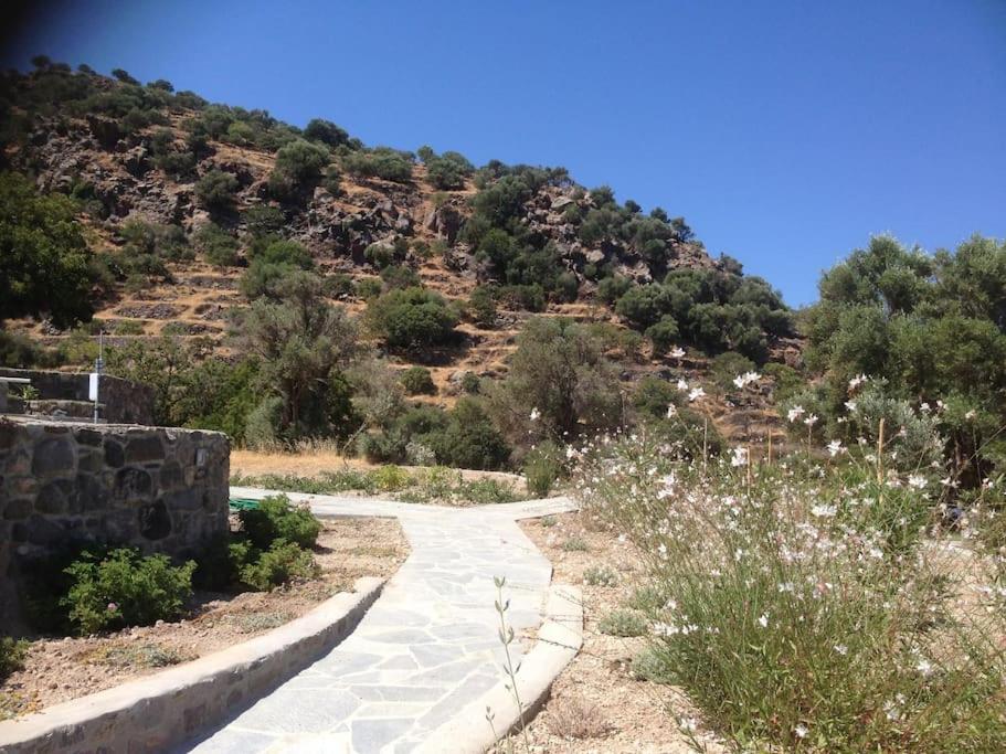Loutra Olive Garden Stone House #3 view 4