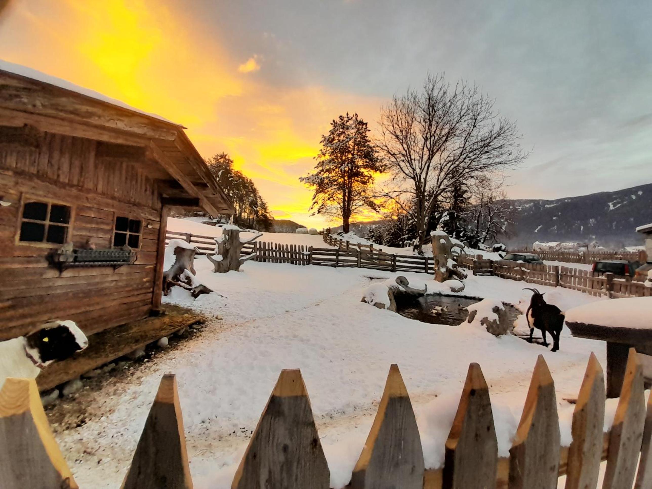 Oberwieserhof App 1