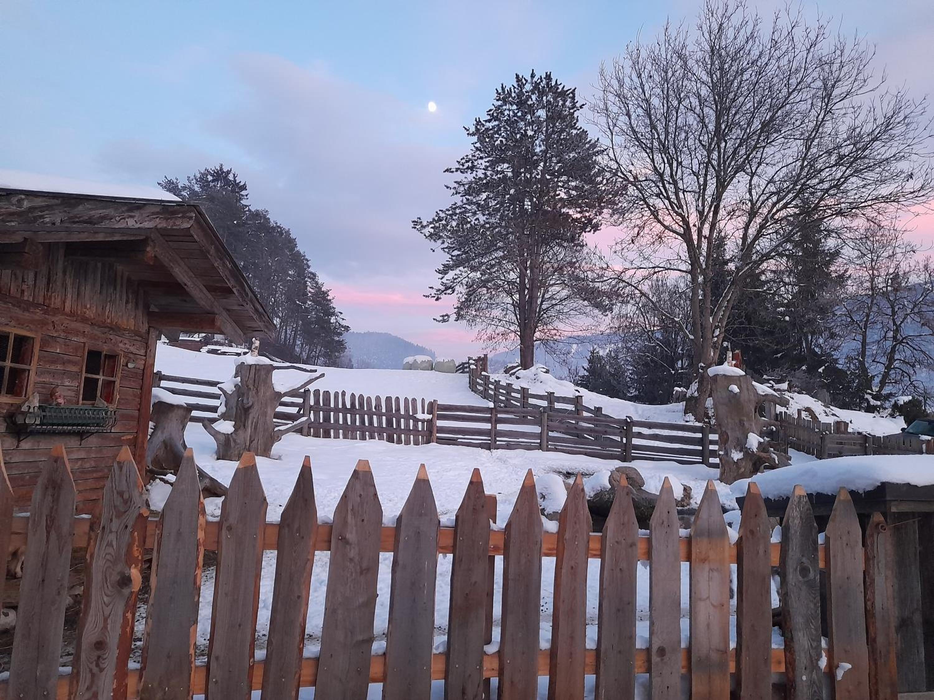 Oberwieserhof App 1