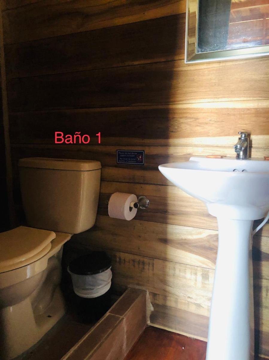Palm Beach Hostal