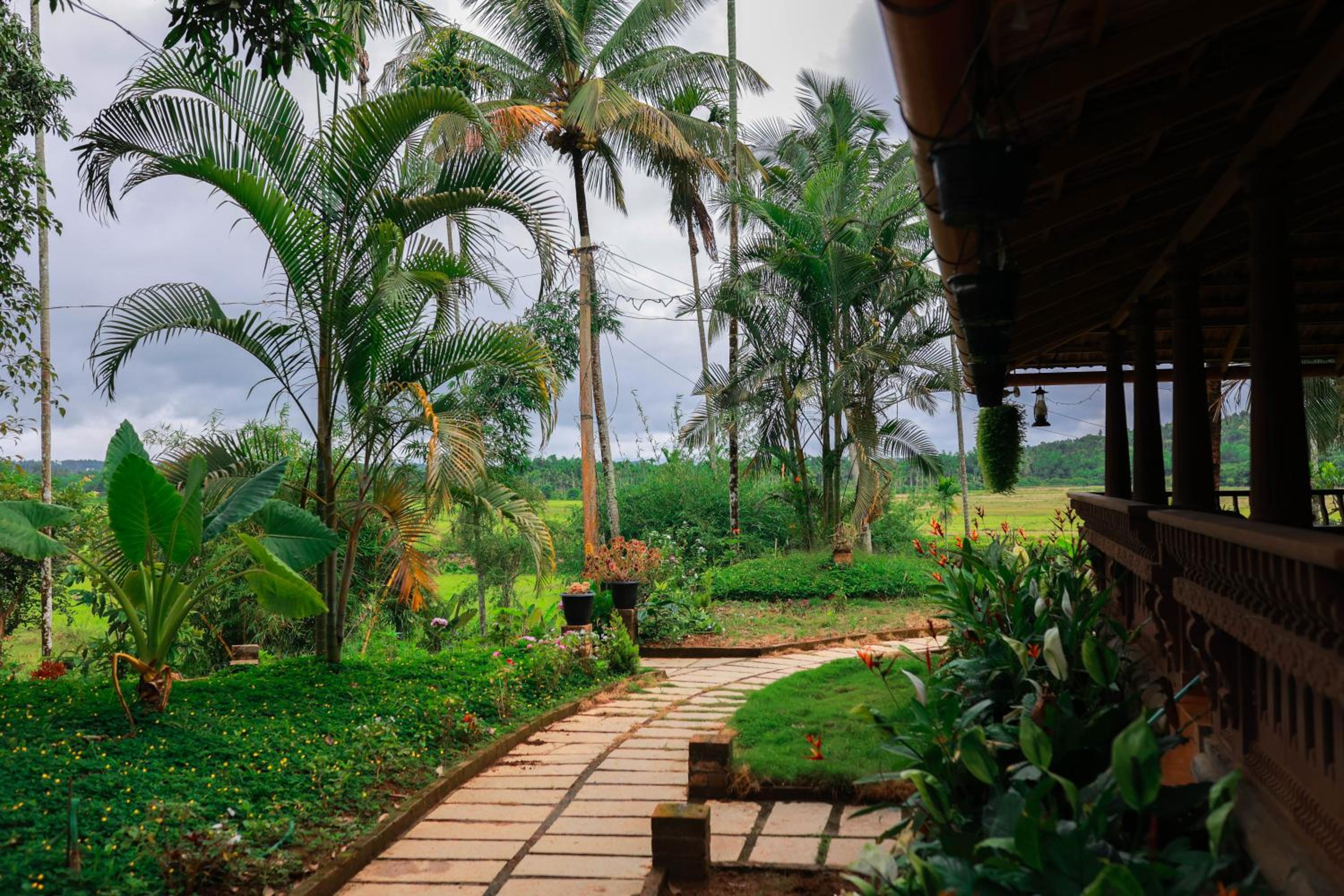 Wayal Wayanad Farm Resort