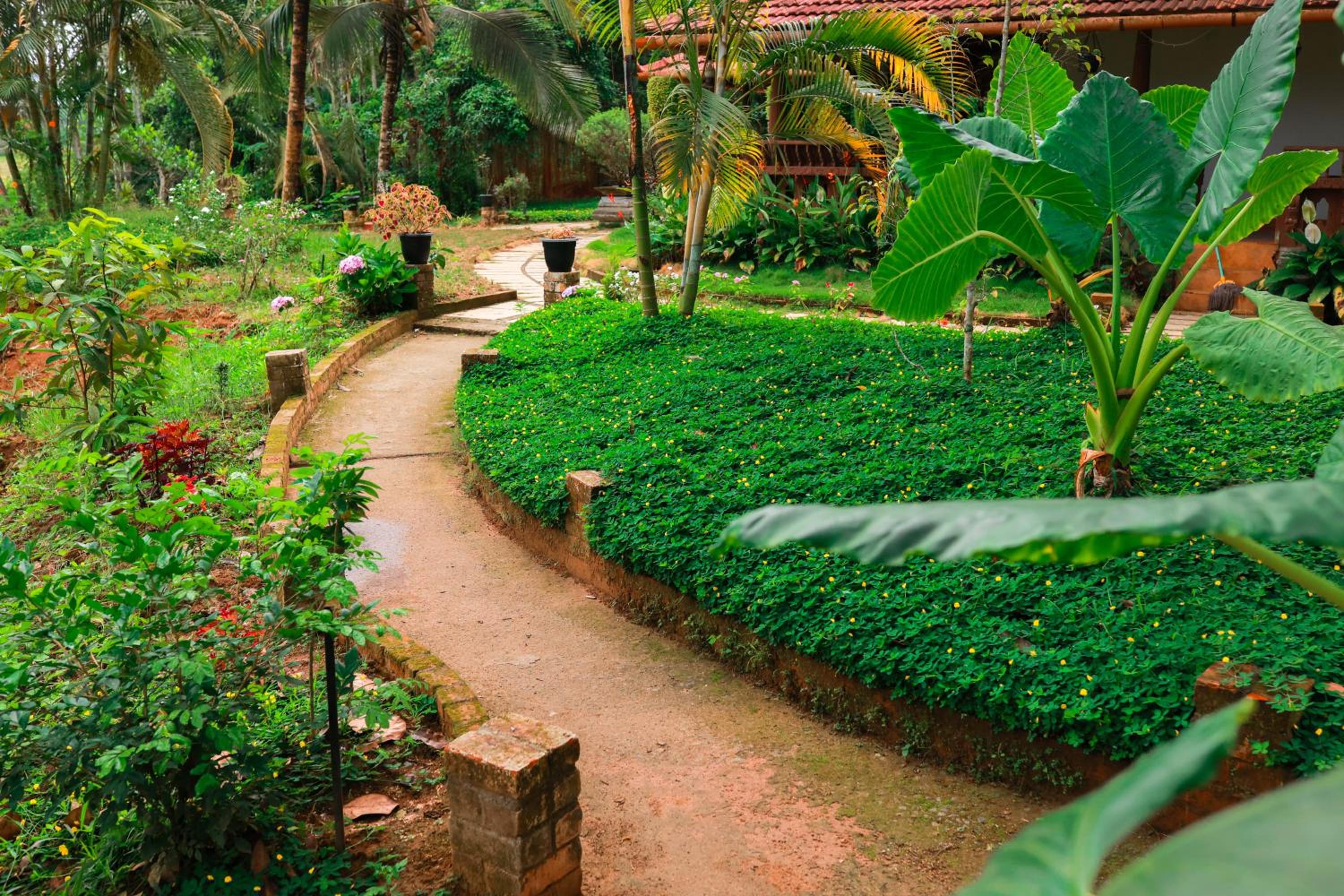 Wayal Wayanad Farm Resort