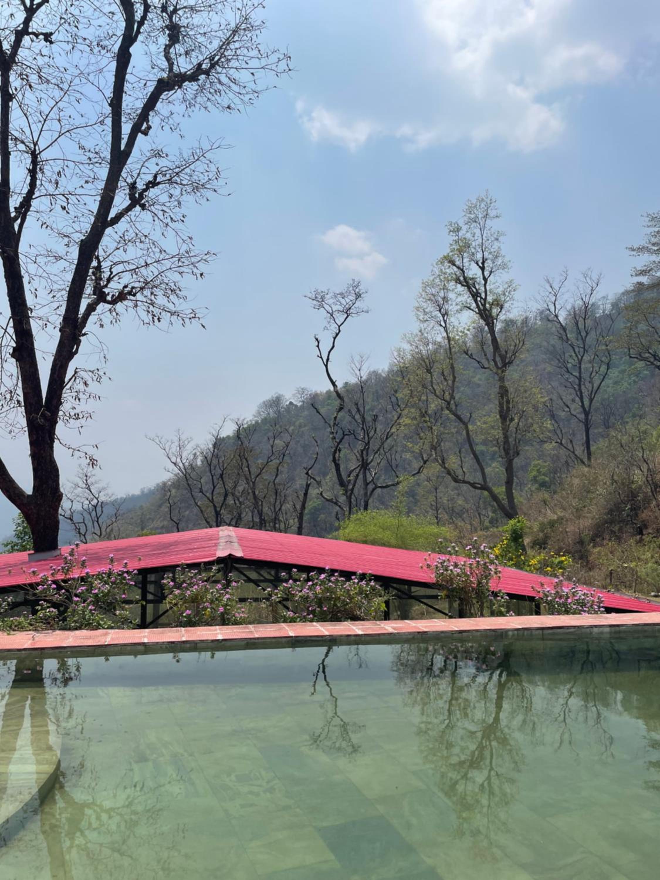 Shiv Shakti Yogpeeth Cottages view 4