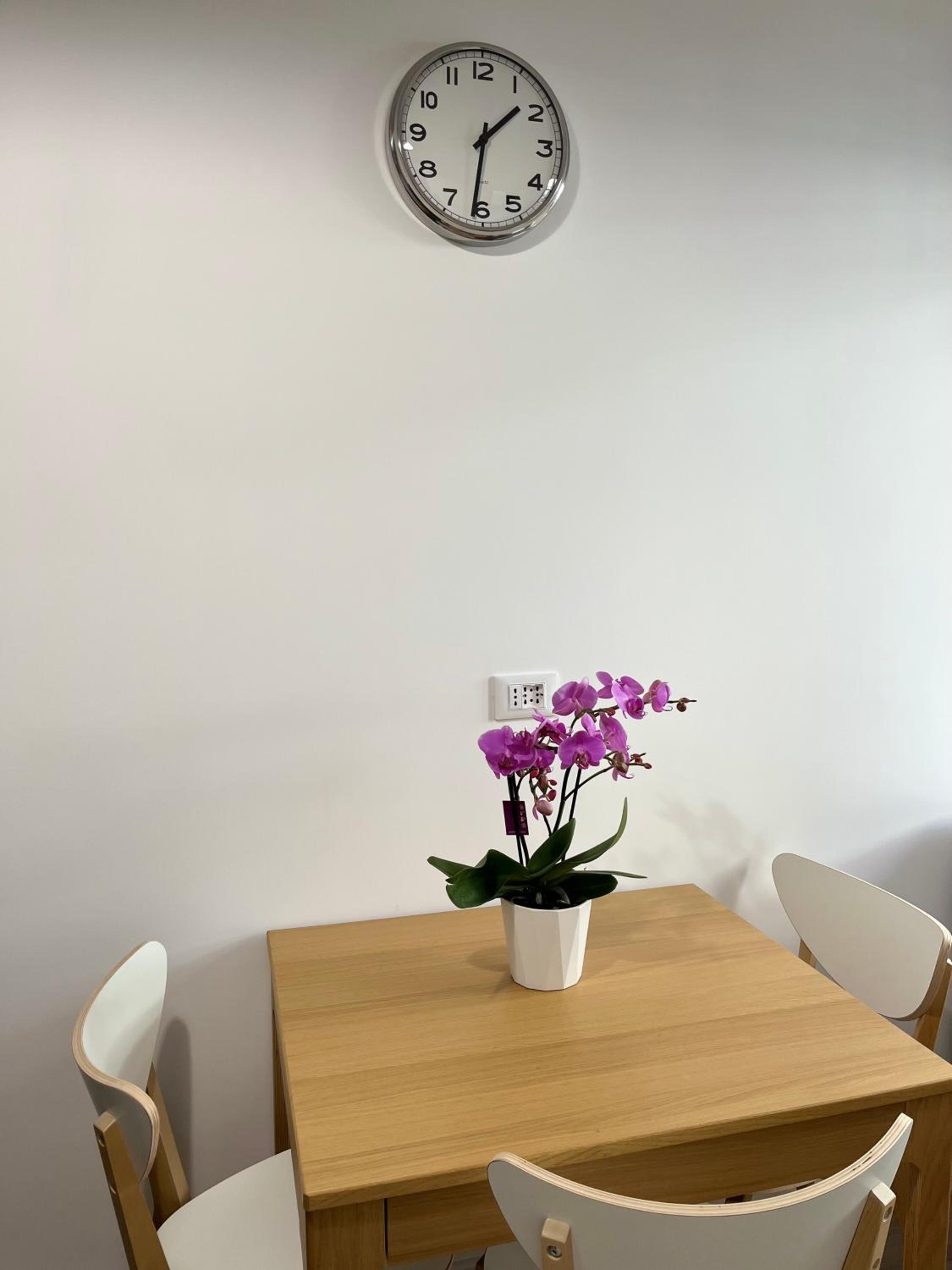 Vatican Emotion photo 3