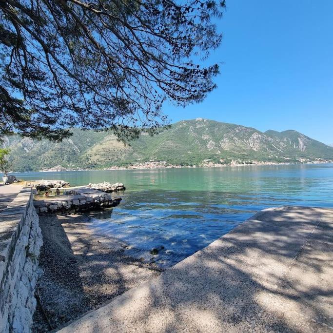 lovely apartment on the sea shore, with a view and free Wi-Fi view 2