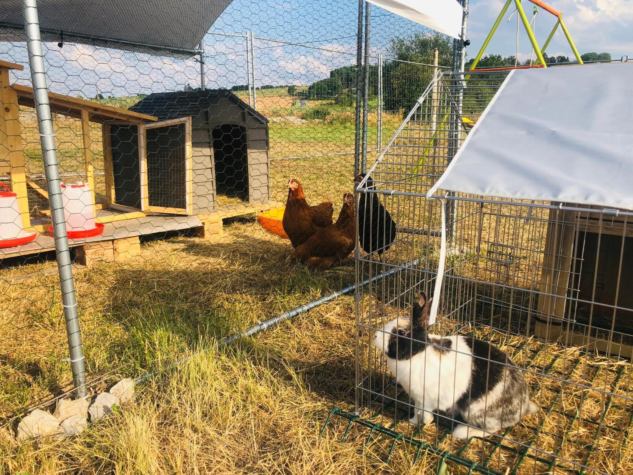 Le Gîte de Golette