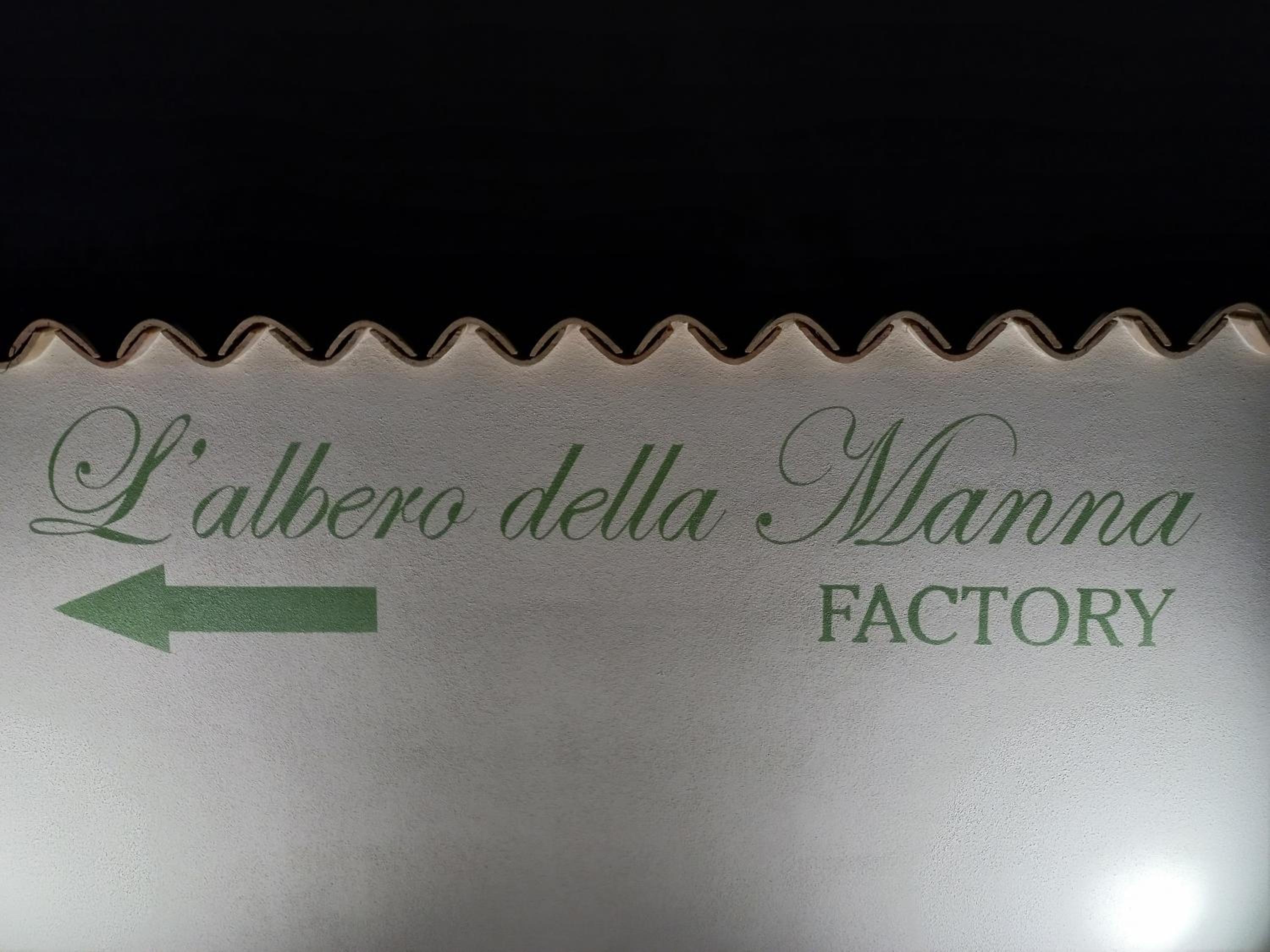 L'ALBERO DELLA MANNA view 5