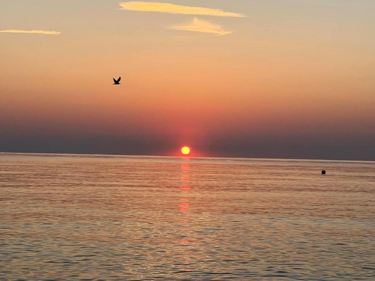 Complex Relax Pomorie All Inclusive