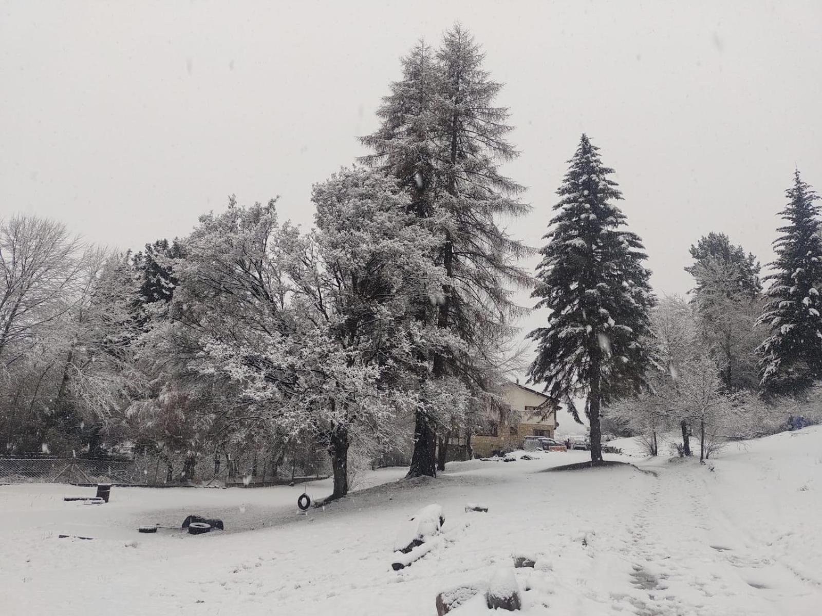 Posada del Ñireco