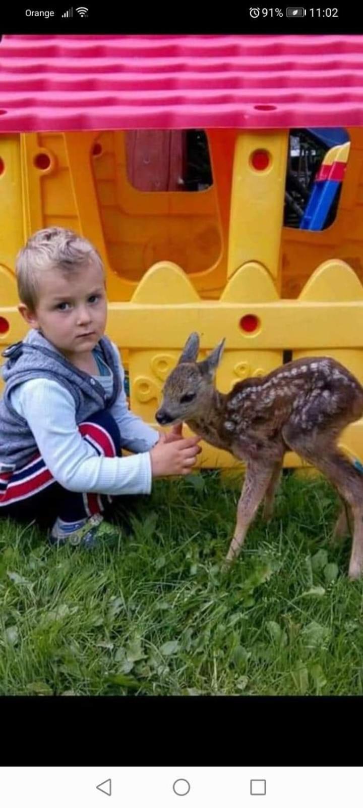 human