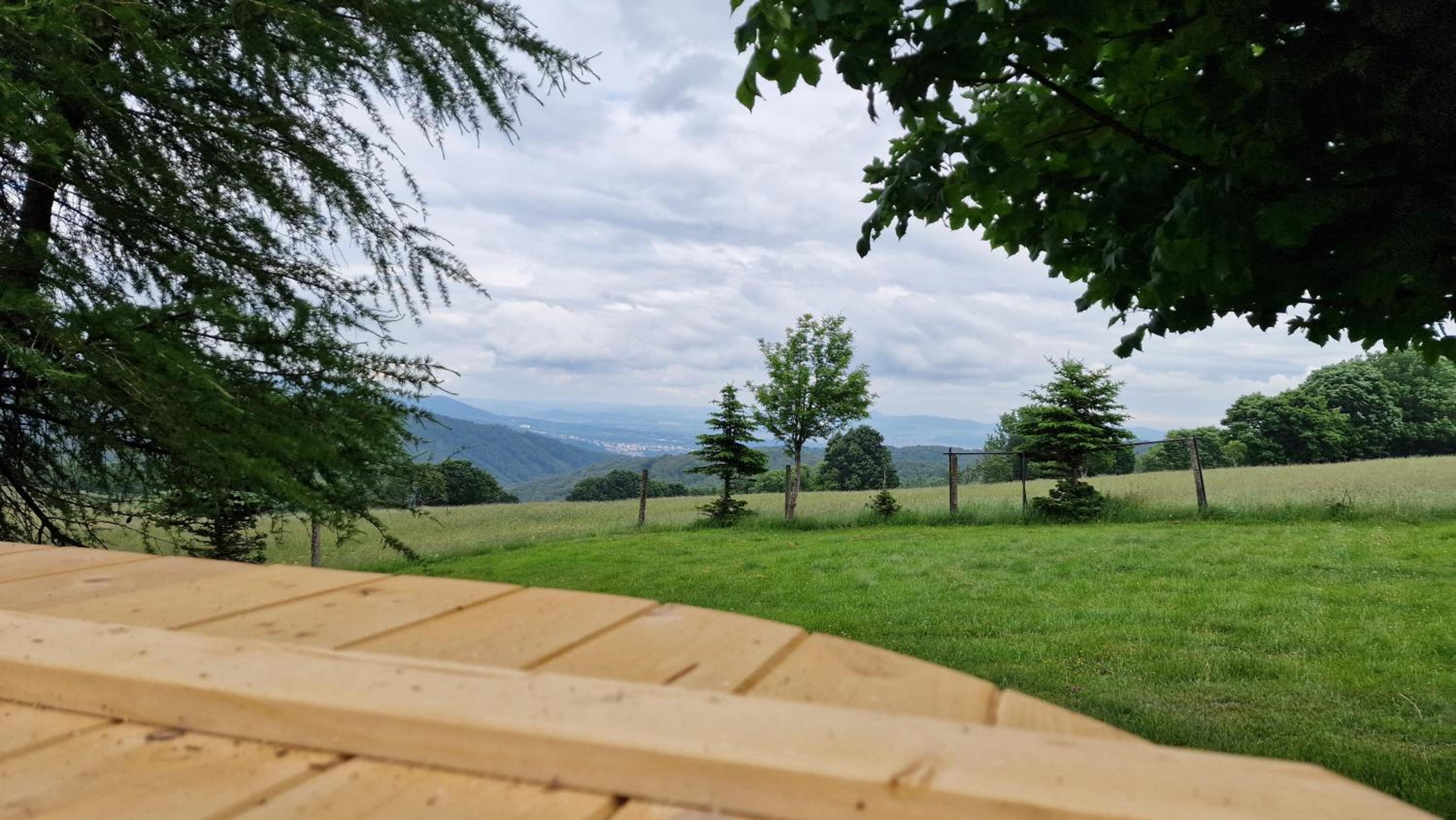 Urtica apartmány
