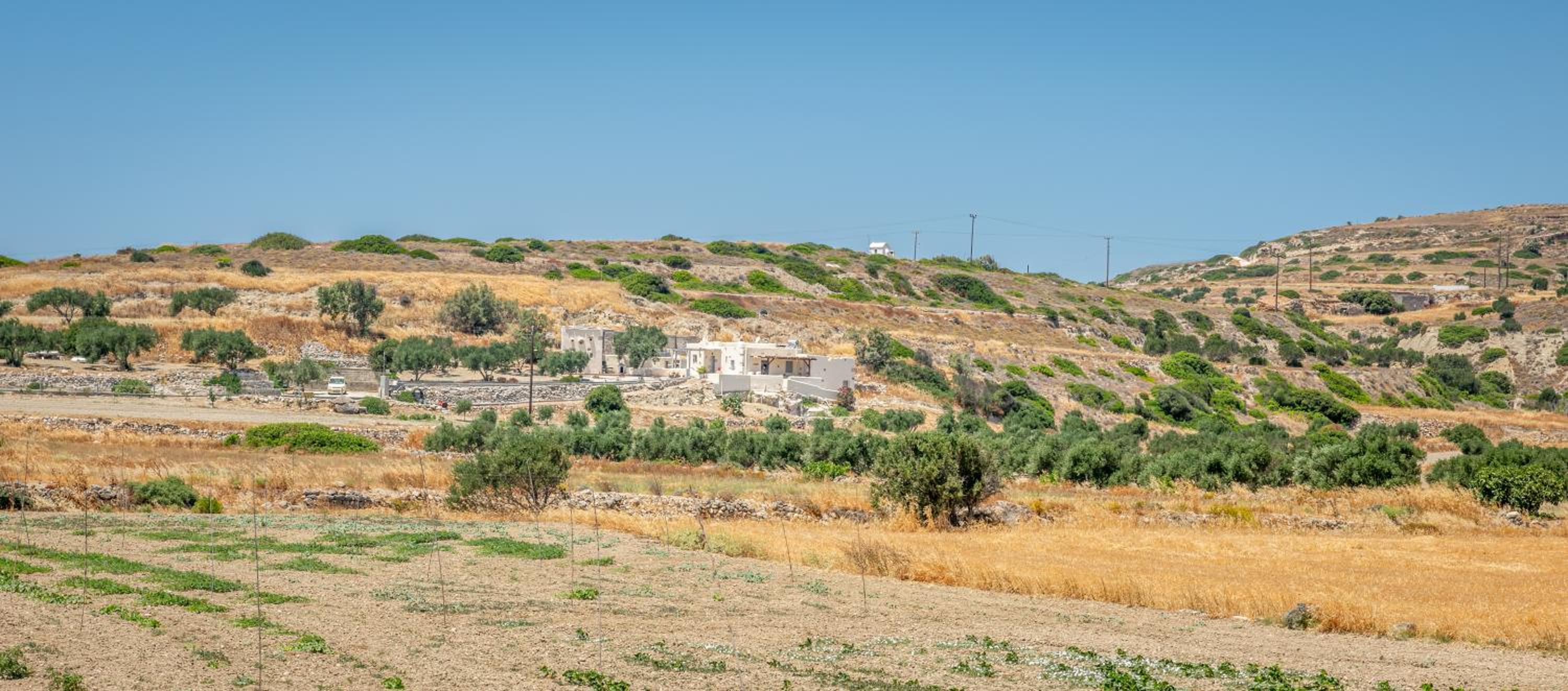 Olive Cottage
