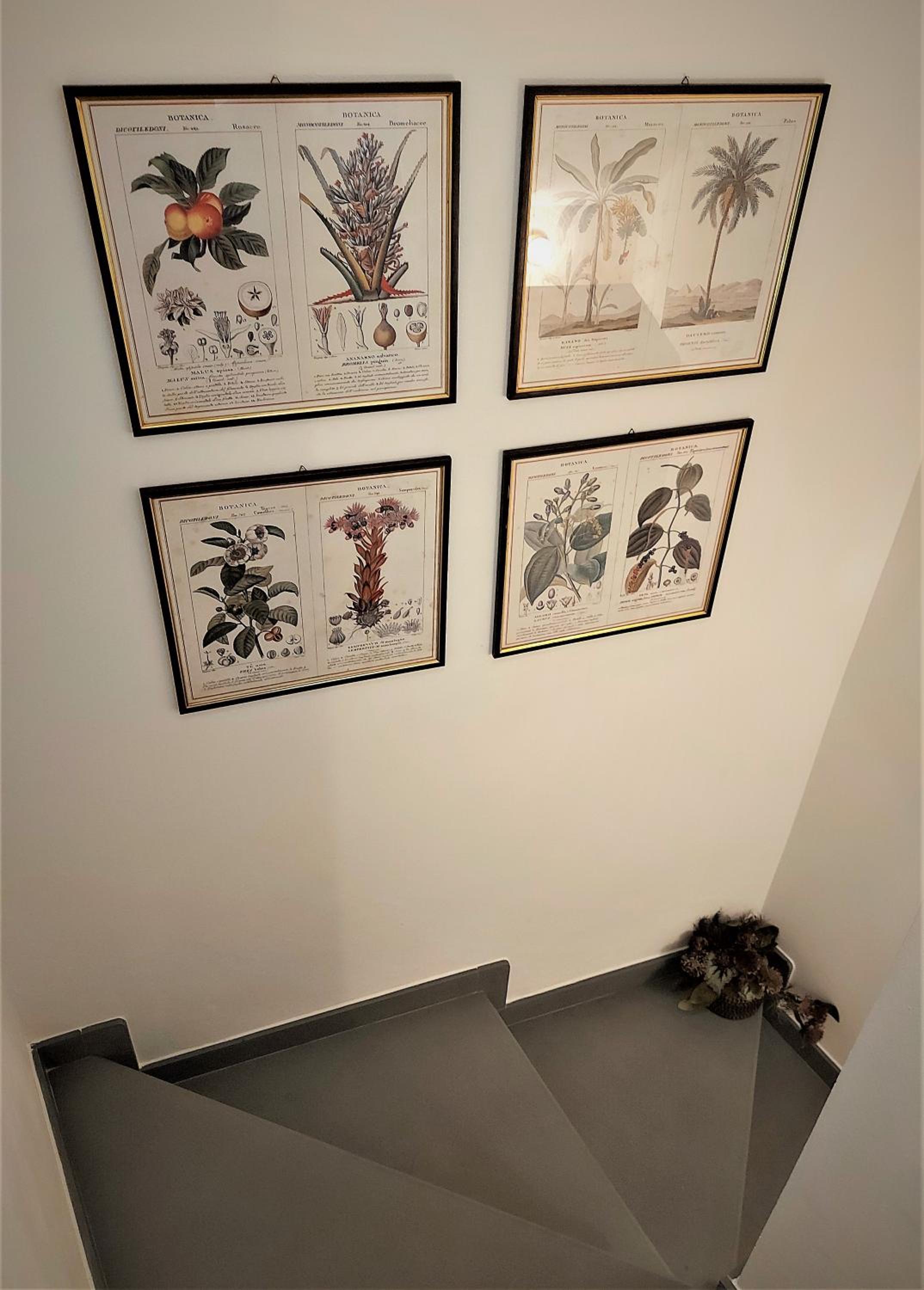 Photo 51