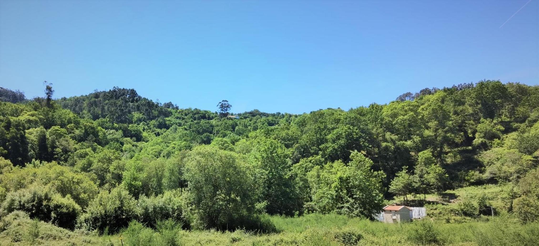 Mill House by the River view 3
