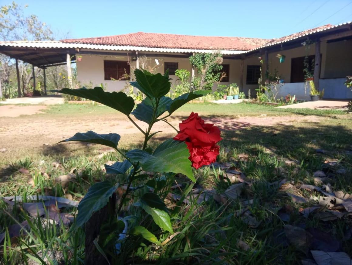 Photo 48