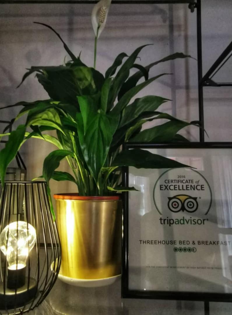 Treehouse Hostel