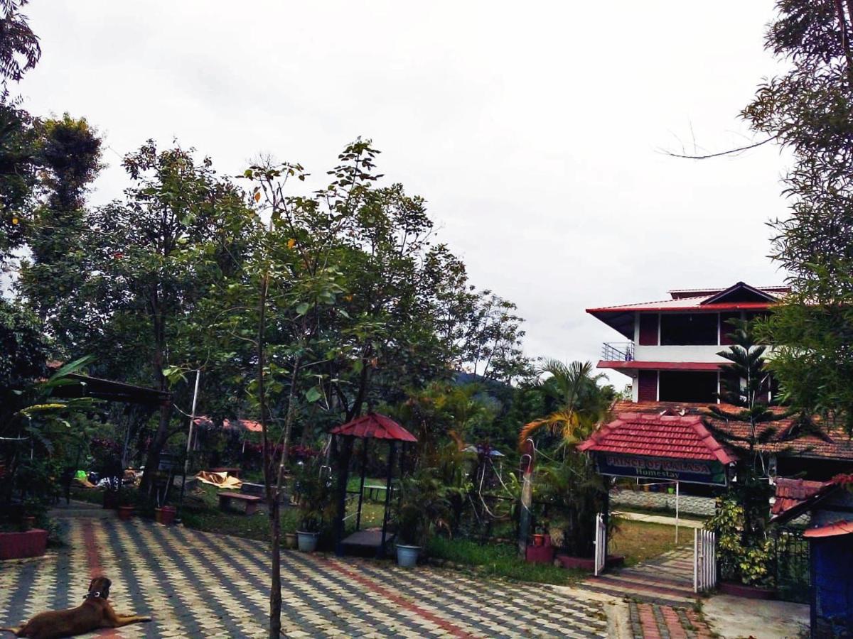 children's play area