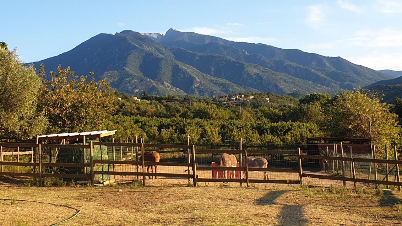 Chambre d'hôtes Le Petit Ranch, photo 10