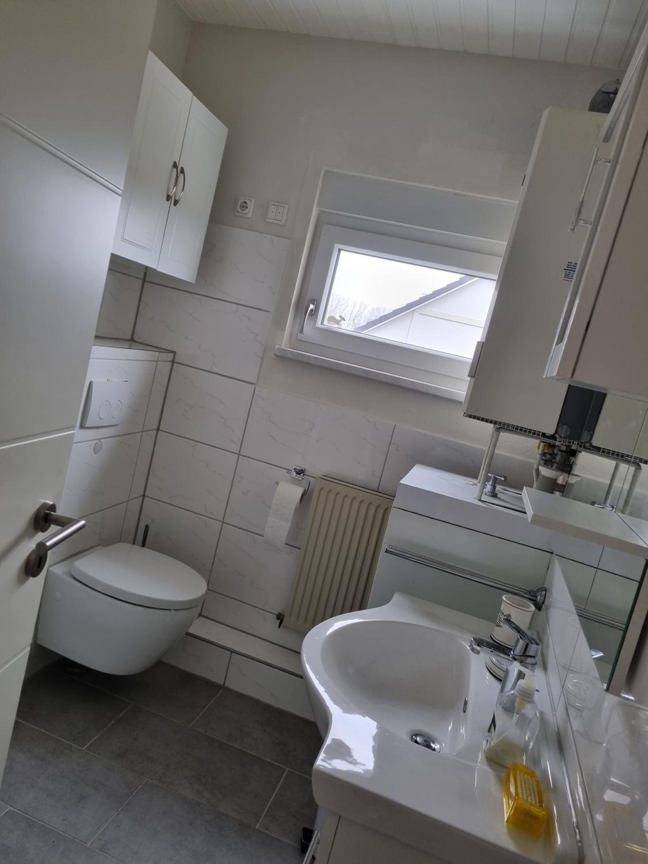 Ferienhaus Achterwasser view 5