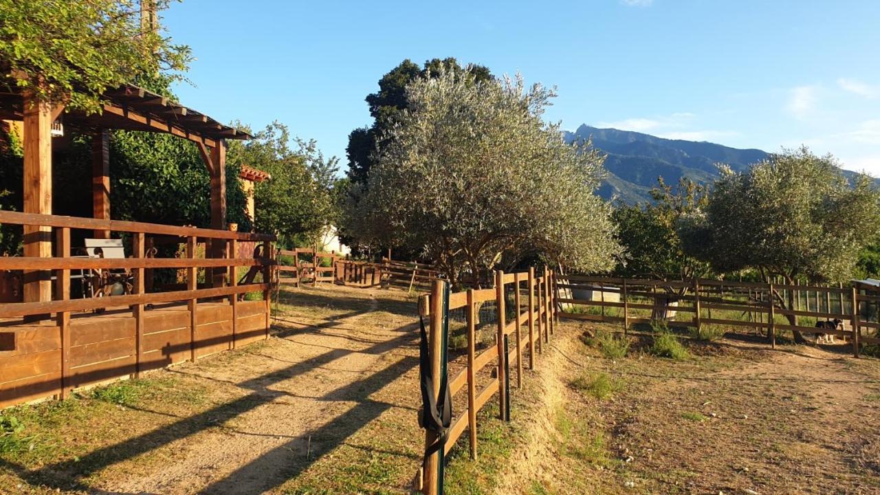 Chambre d'hôtes Le Petit Ranch, photo 18