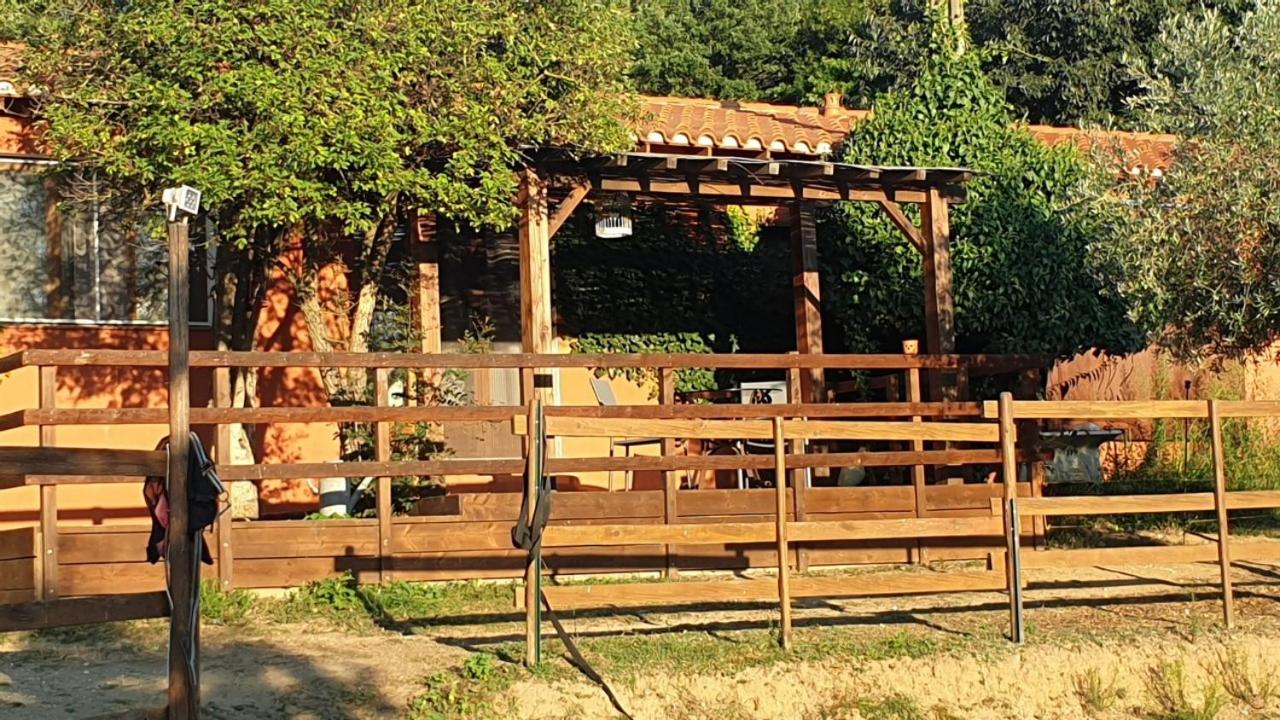Chambre d'hôtes Le Petit Ranch, photo 6