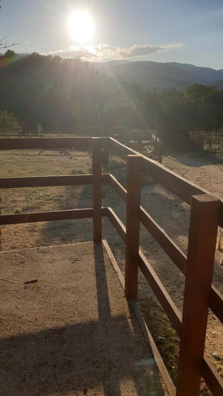 Chambre d'hôtes Le Petit Ranch, photo 5