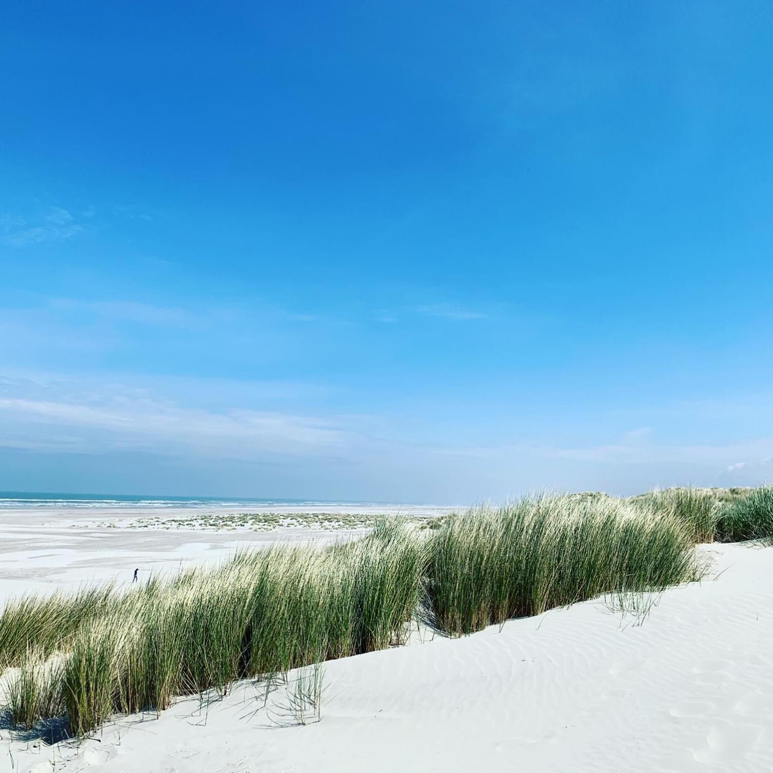 WAD NOU Terschelling heerlijk duurzaam chalet! view 5