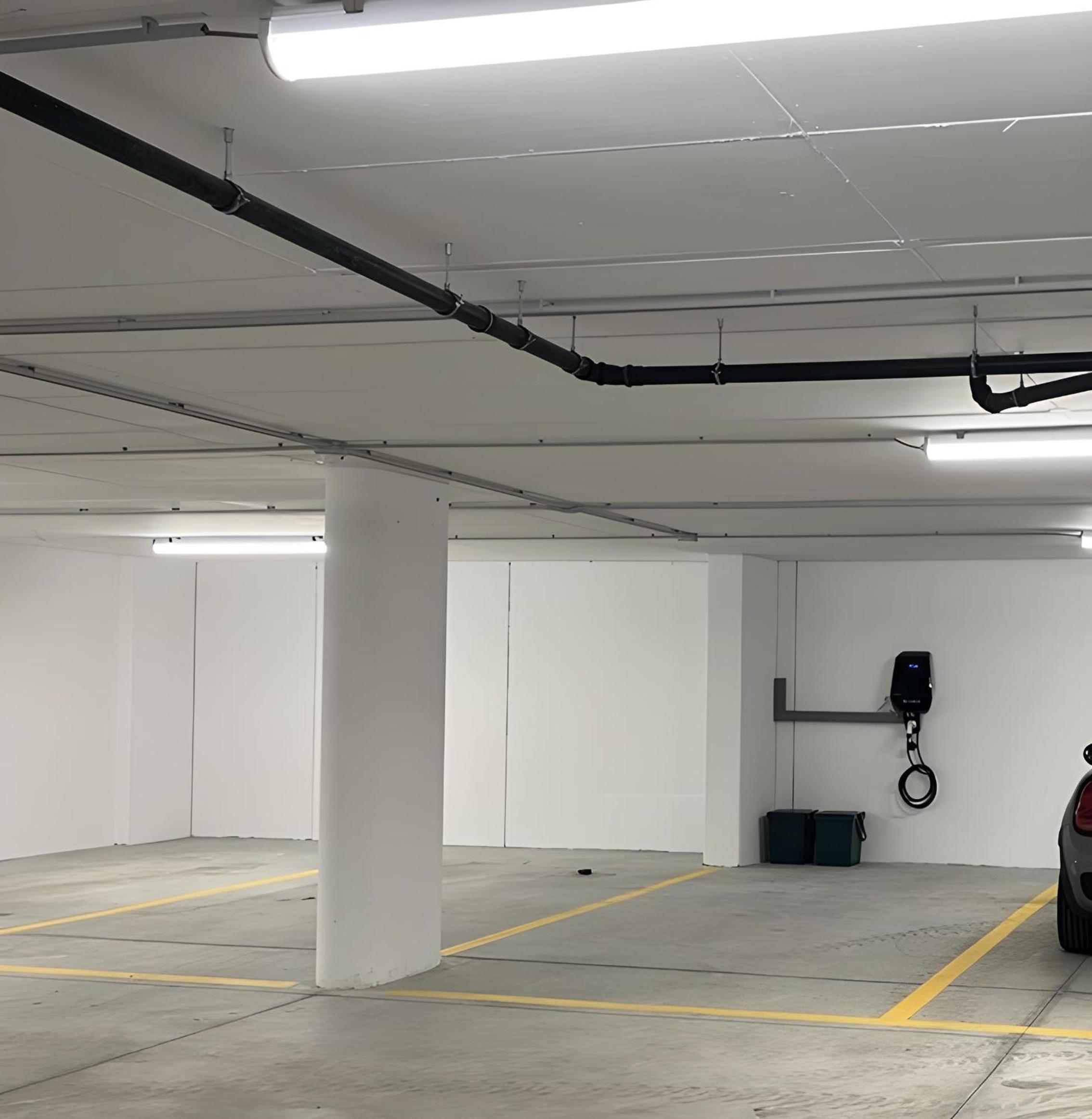 stella alpina photo 5