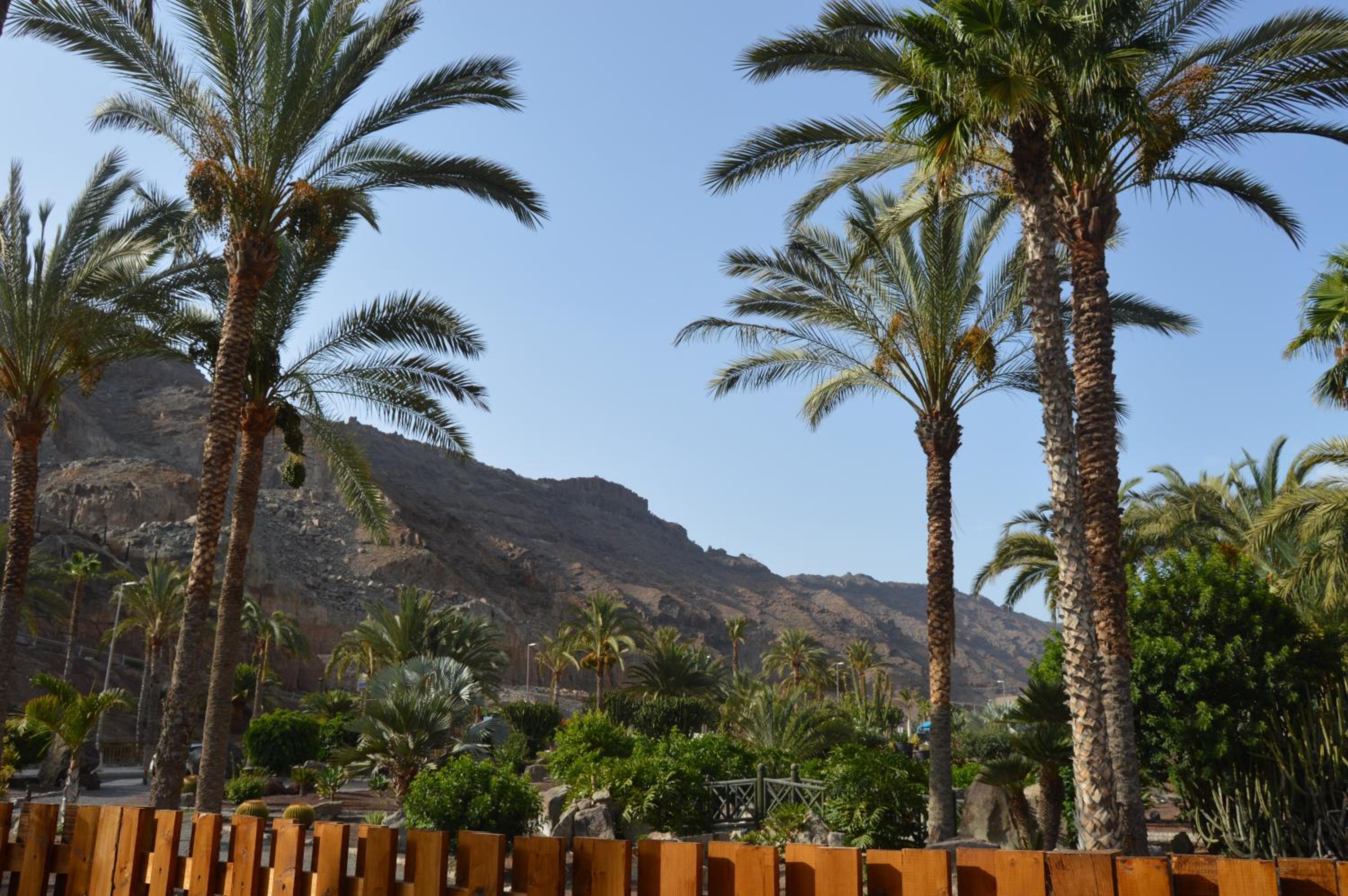other
