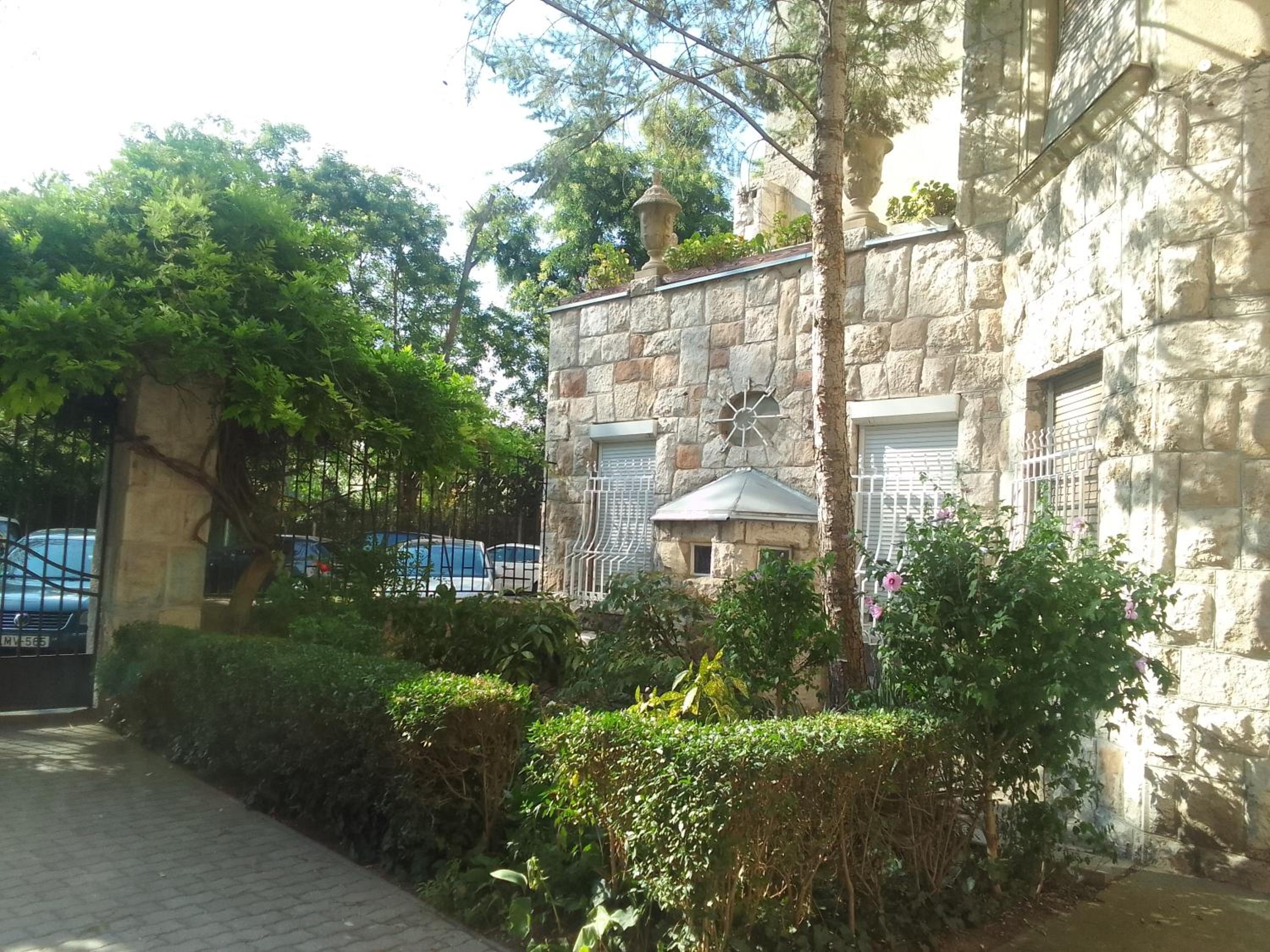 Photo 8