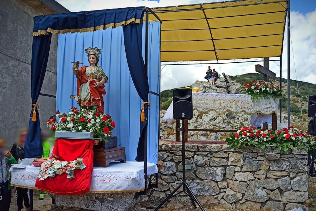 Photo 36