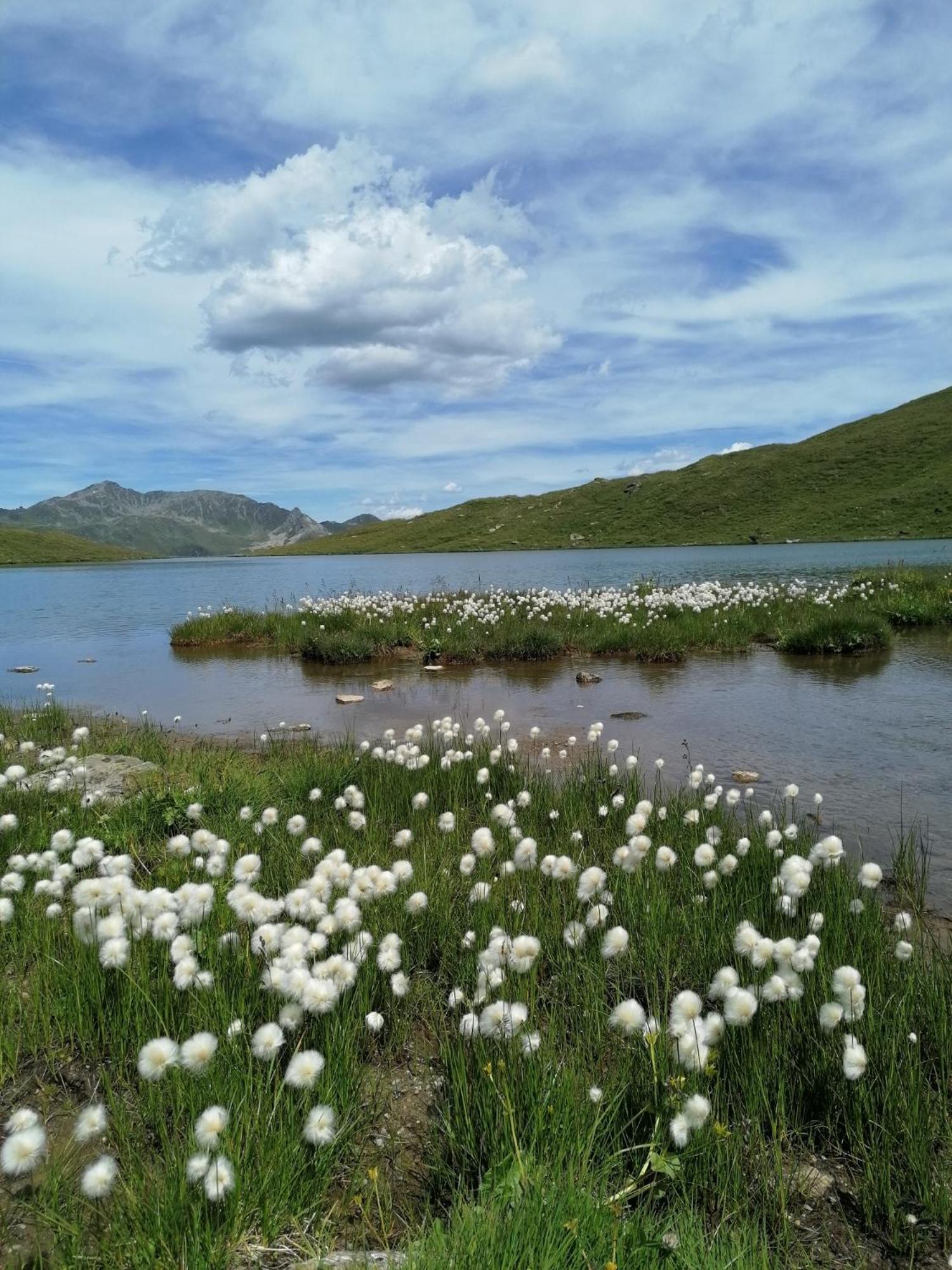 Photo 44