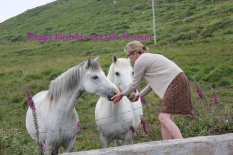 Photo 40