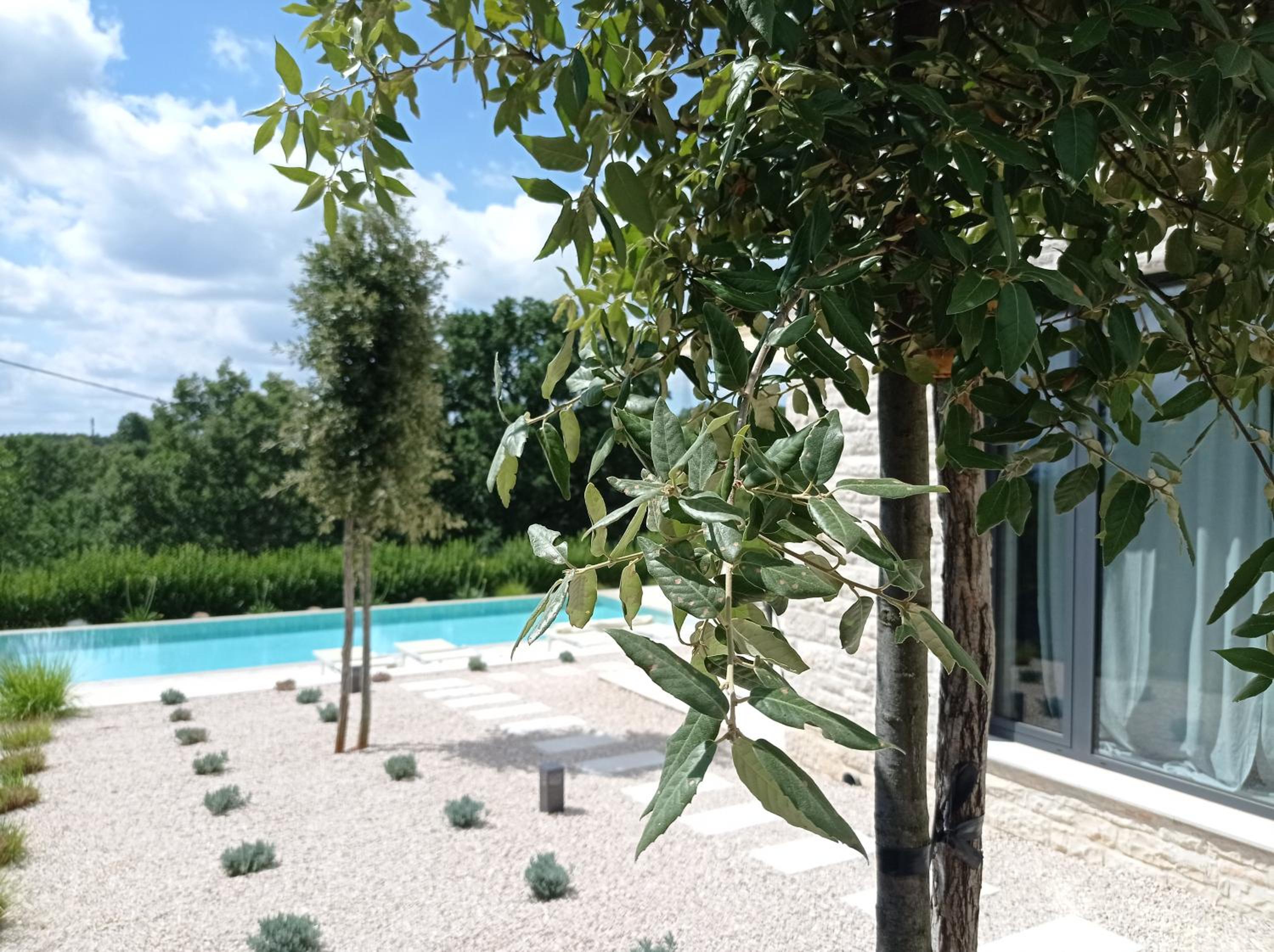 Terra Histria - Boutique Stone House view 4
