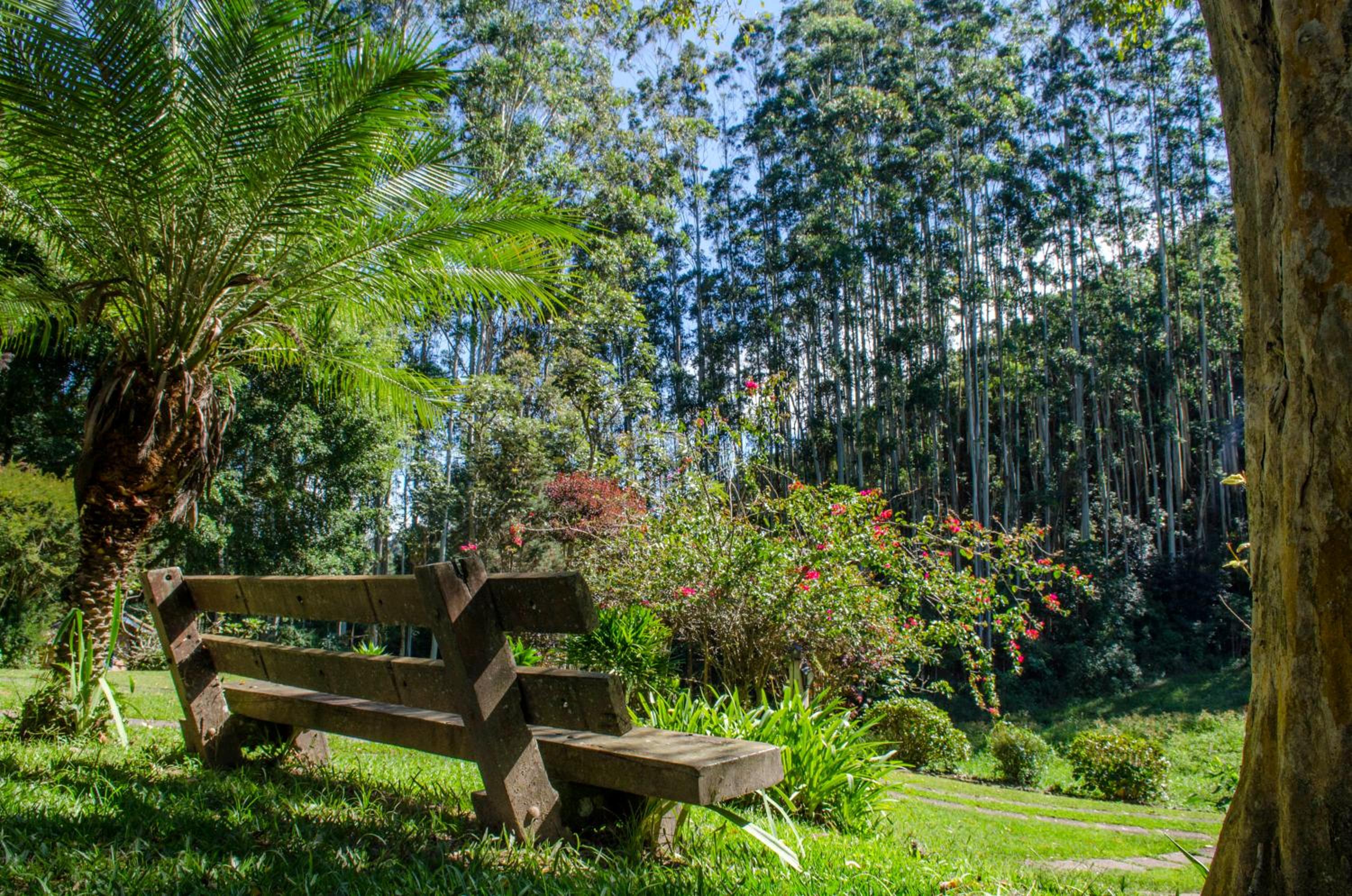Pousada A Casa da Fazenda