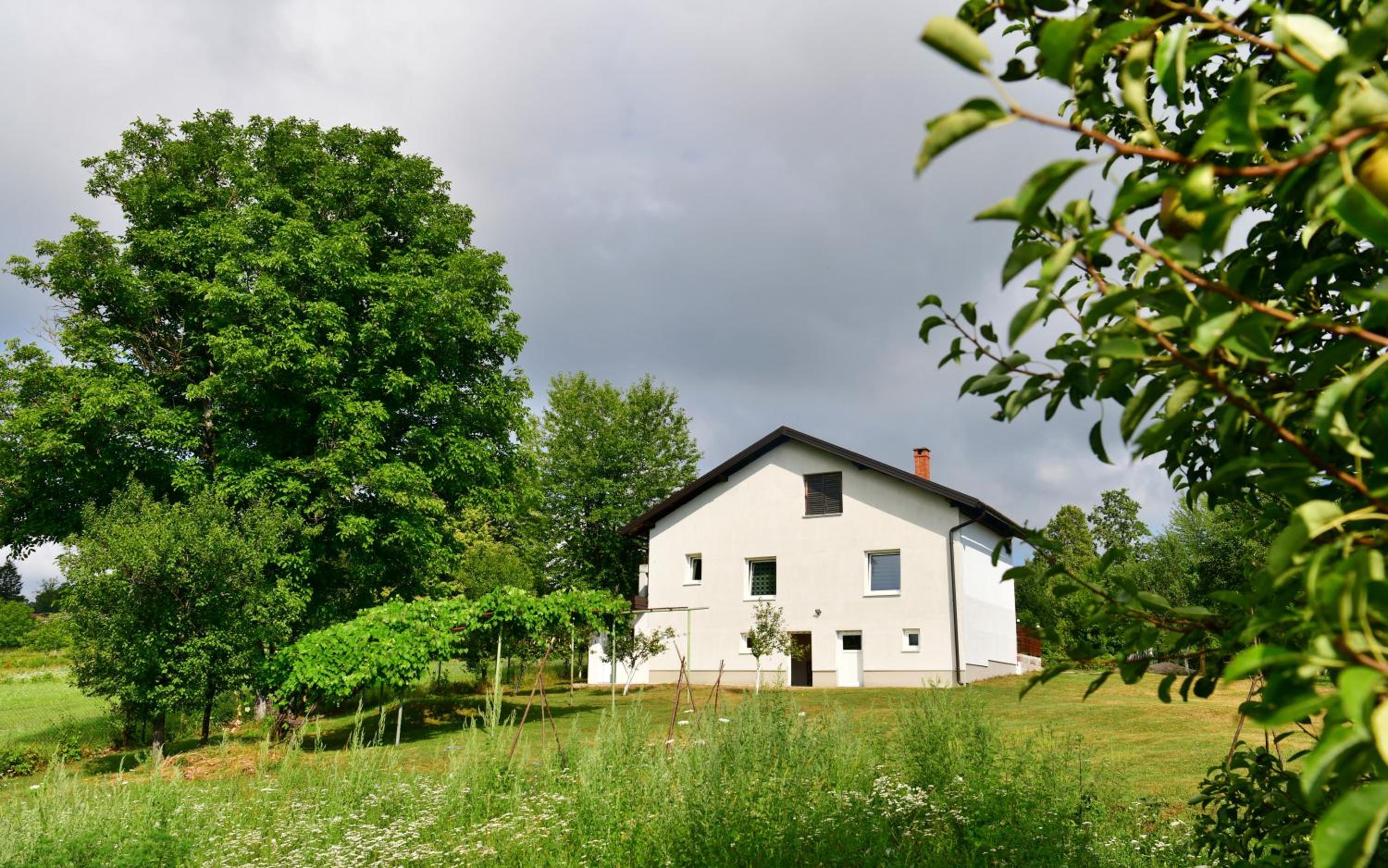 Photo 27