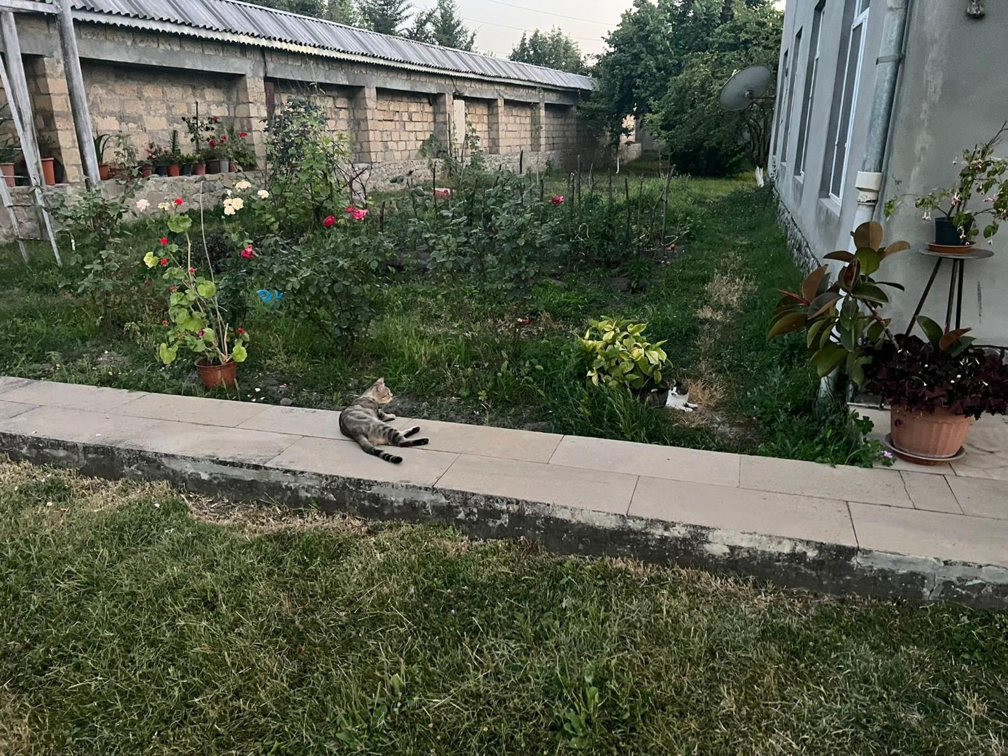 Ismayilli Guest House