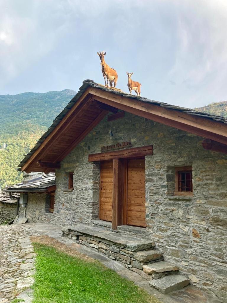 Maison de Noé view 5