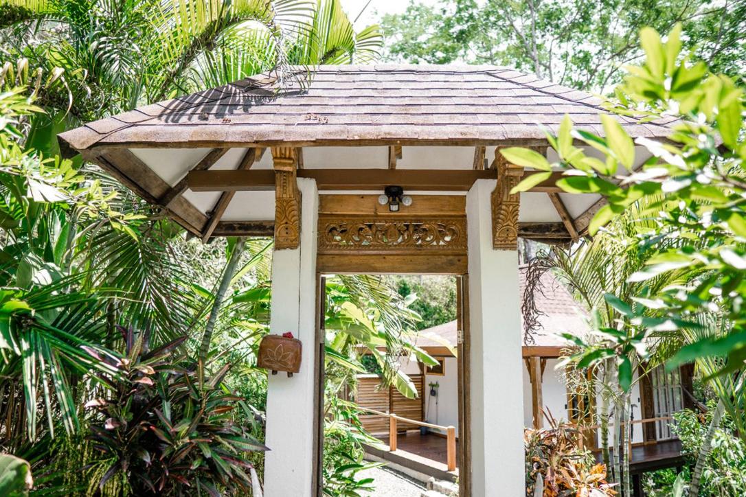 Uvita Bali Bosque Retreat