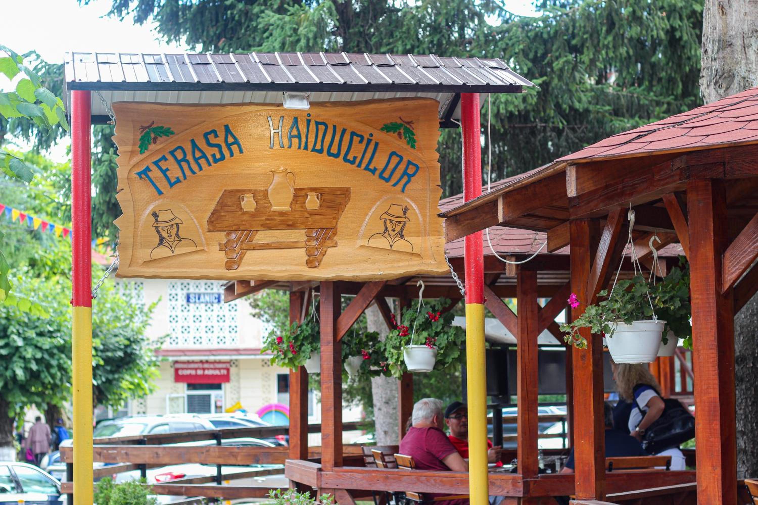 Teju Hotels en Slănic — restaurant