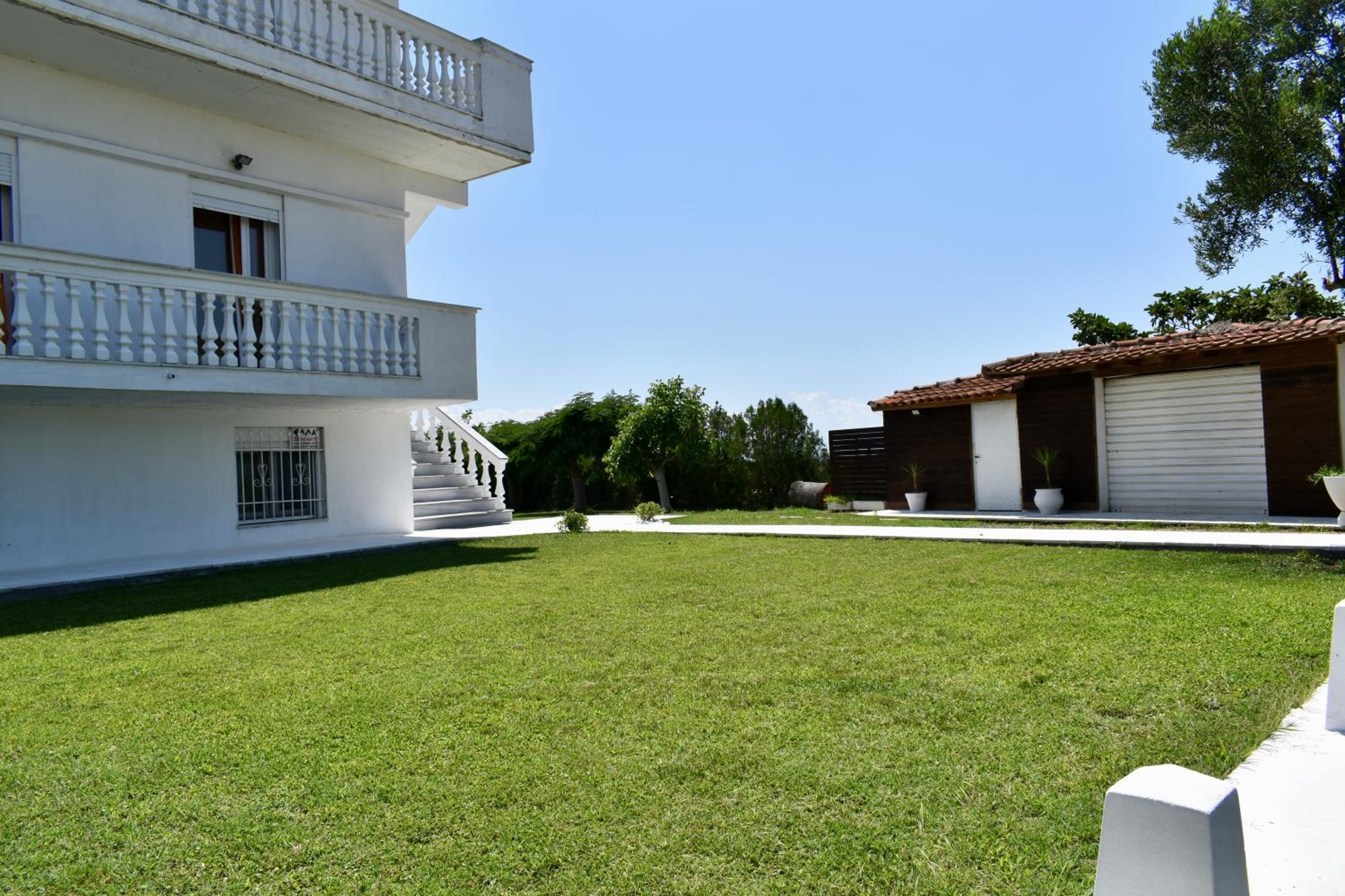 Photo 7