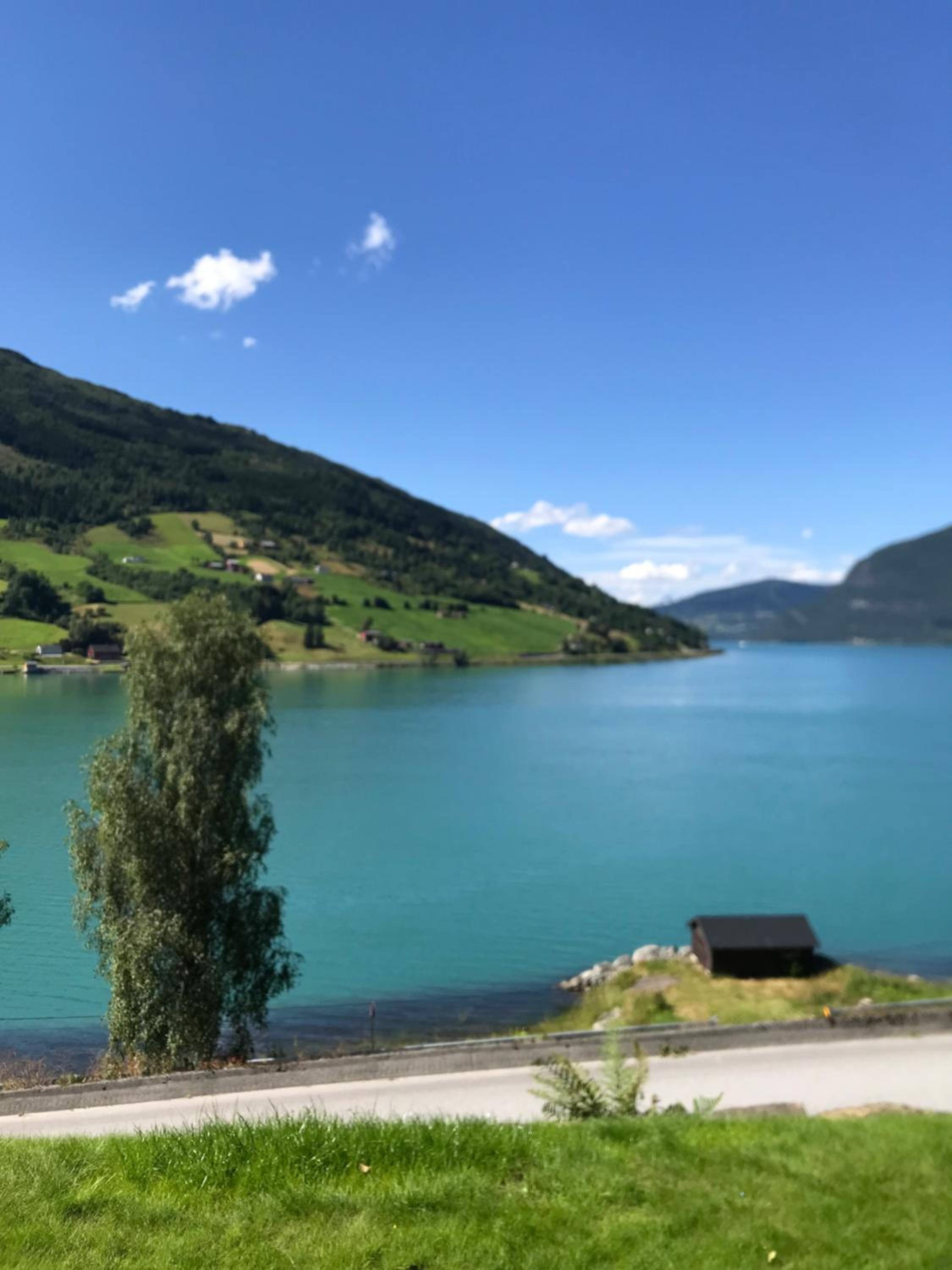 Panorama Fjord Olden