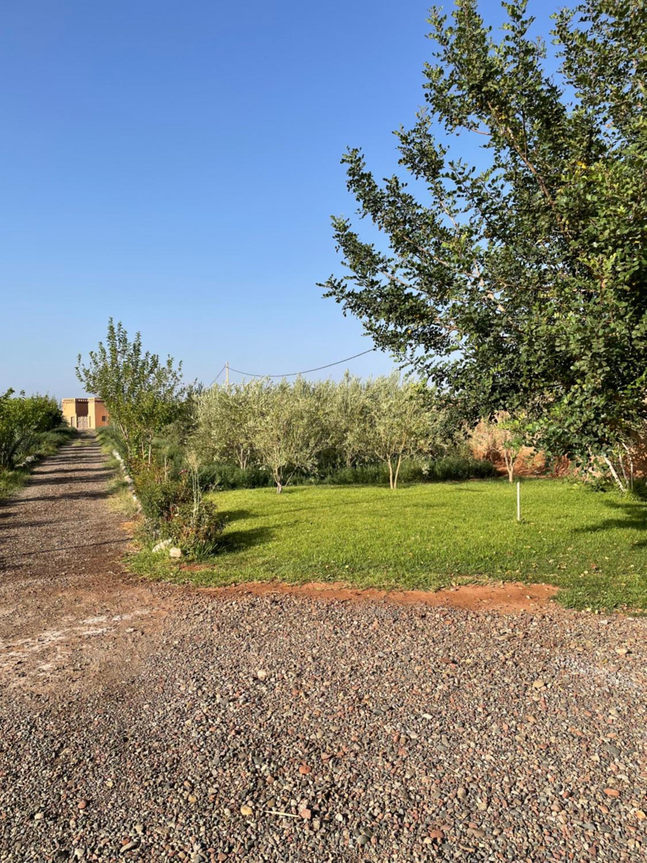 Villa atlas farm strictement pour les familles view 3