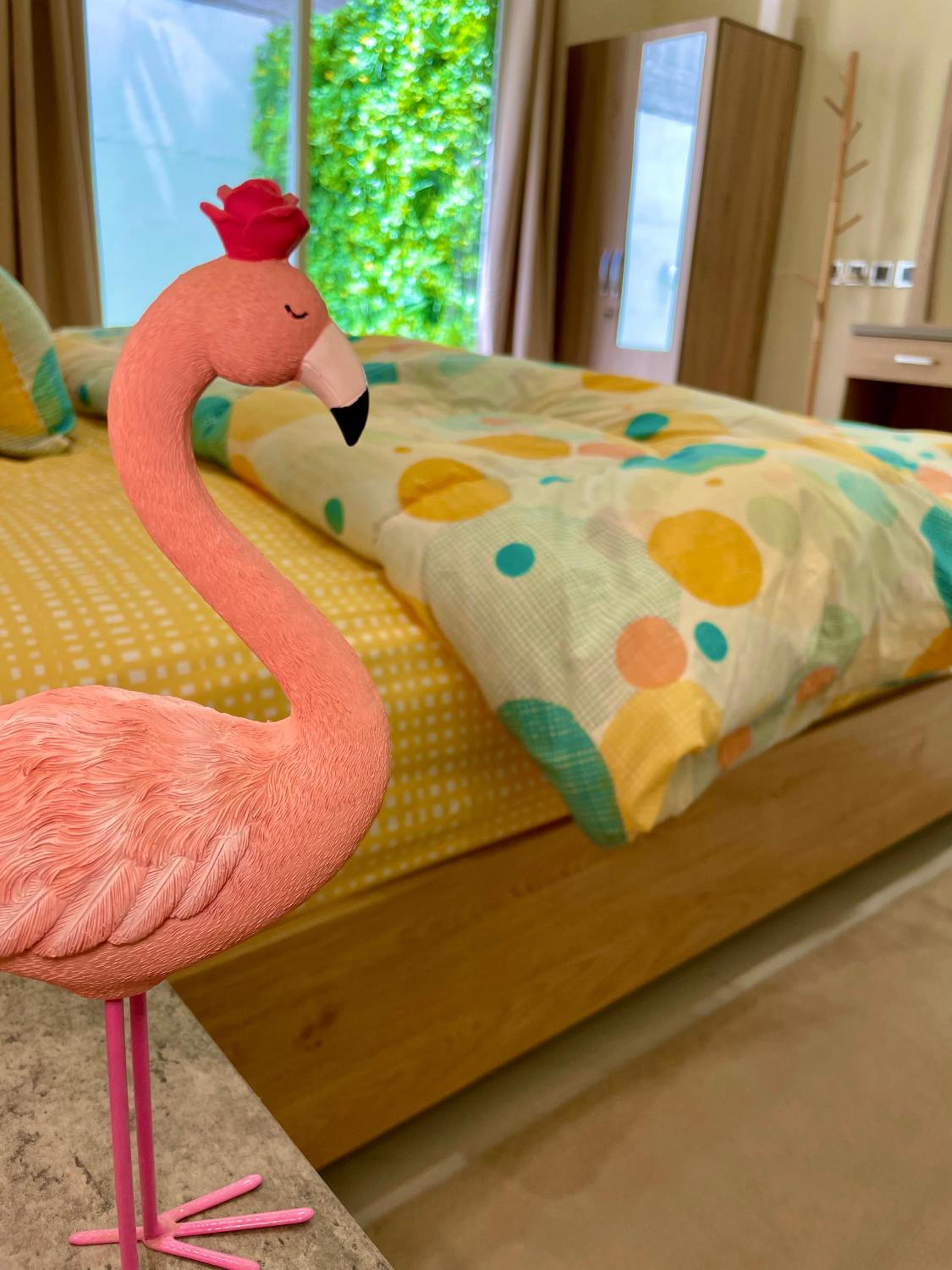 فلامينجو Flamingo view 2