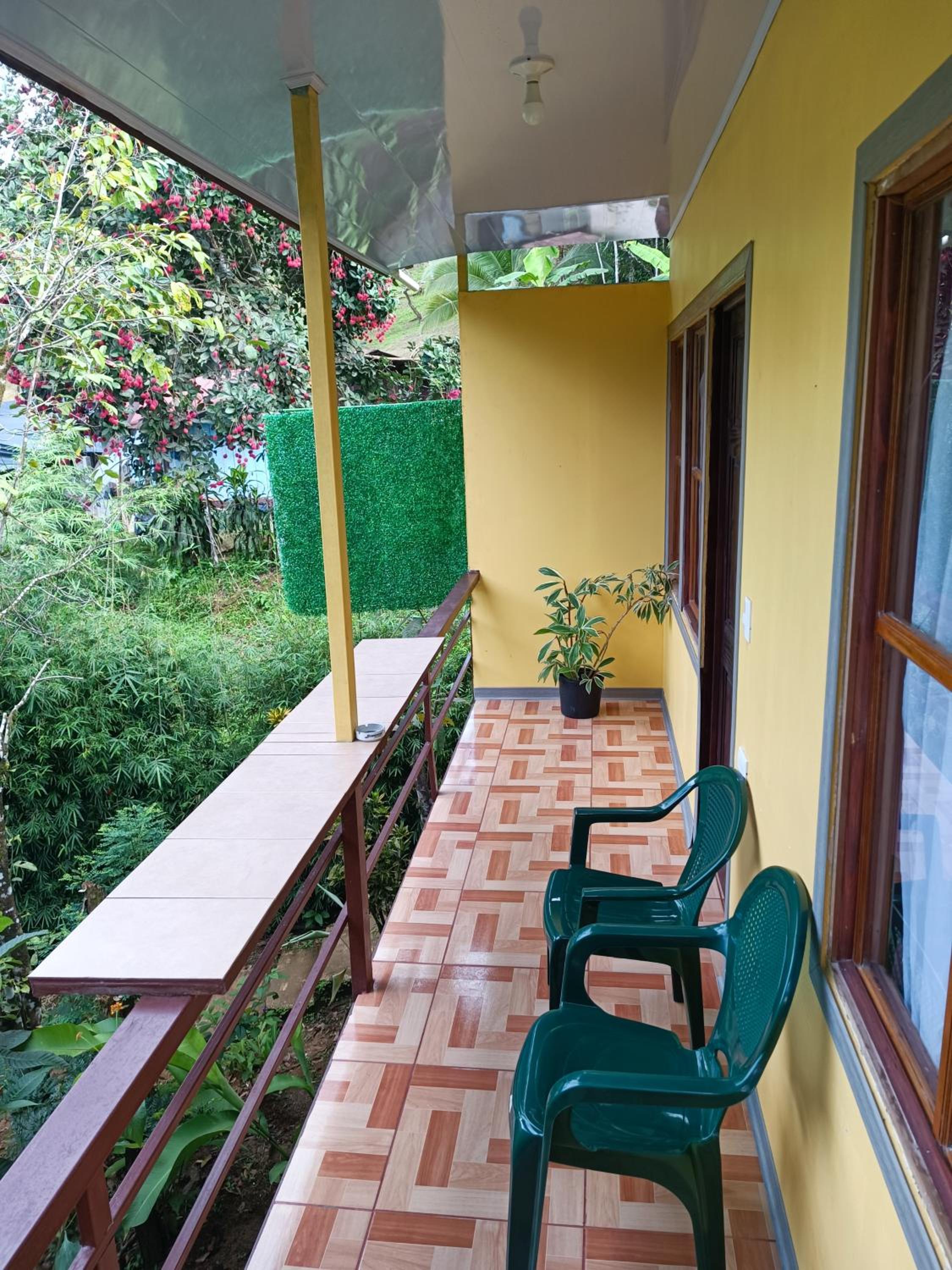 Photo 19