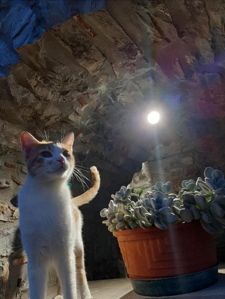 Tenuta il Giardino di Eros