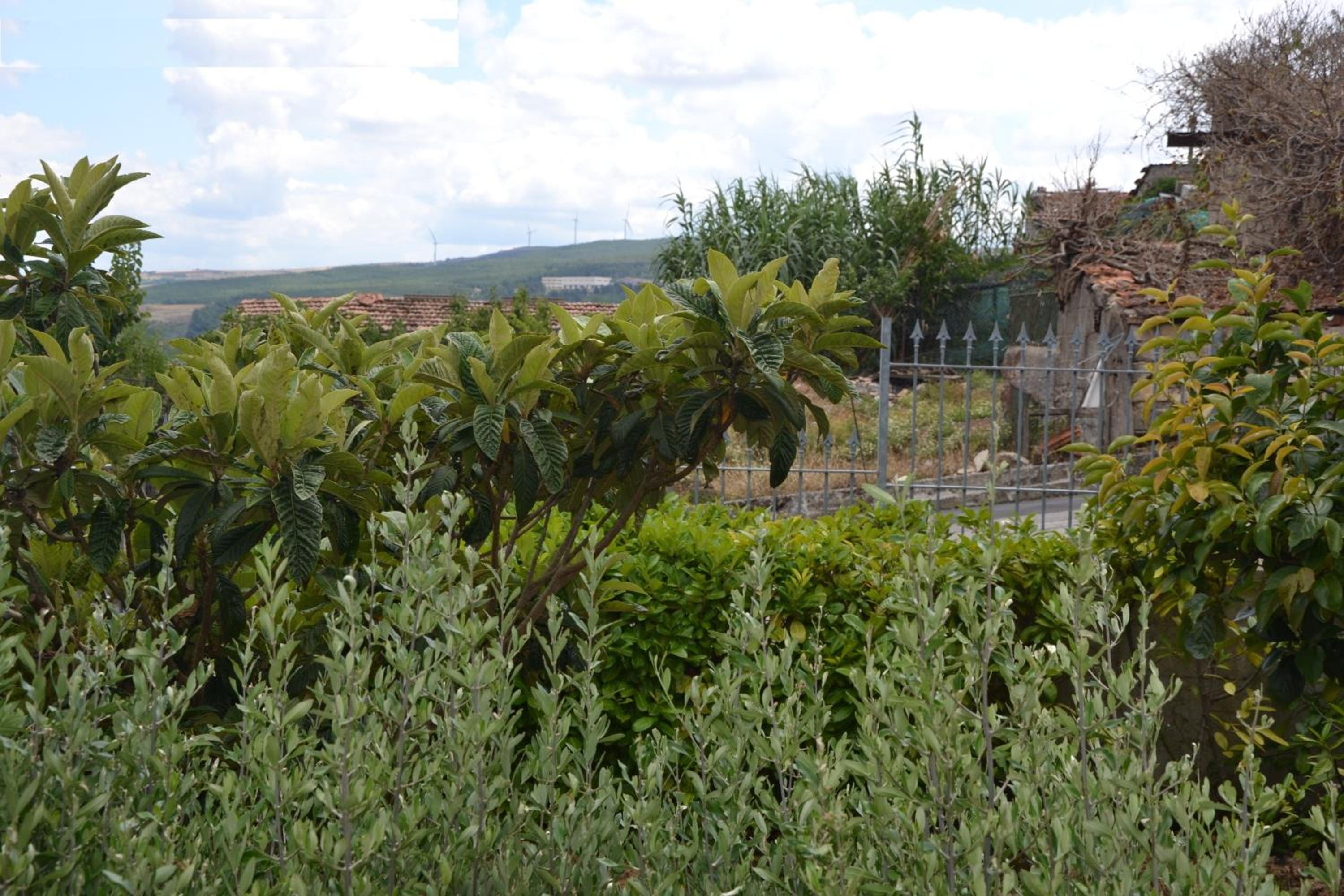 Photo 17